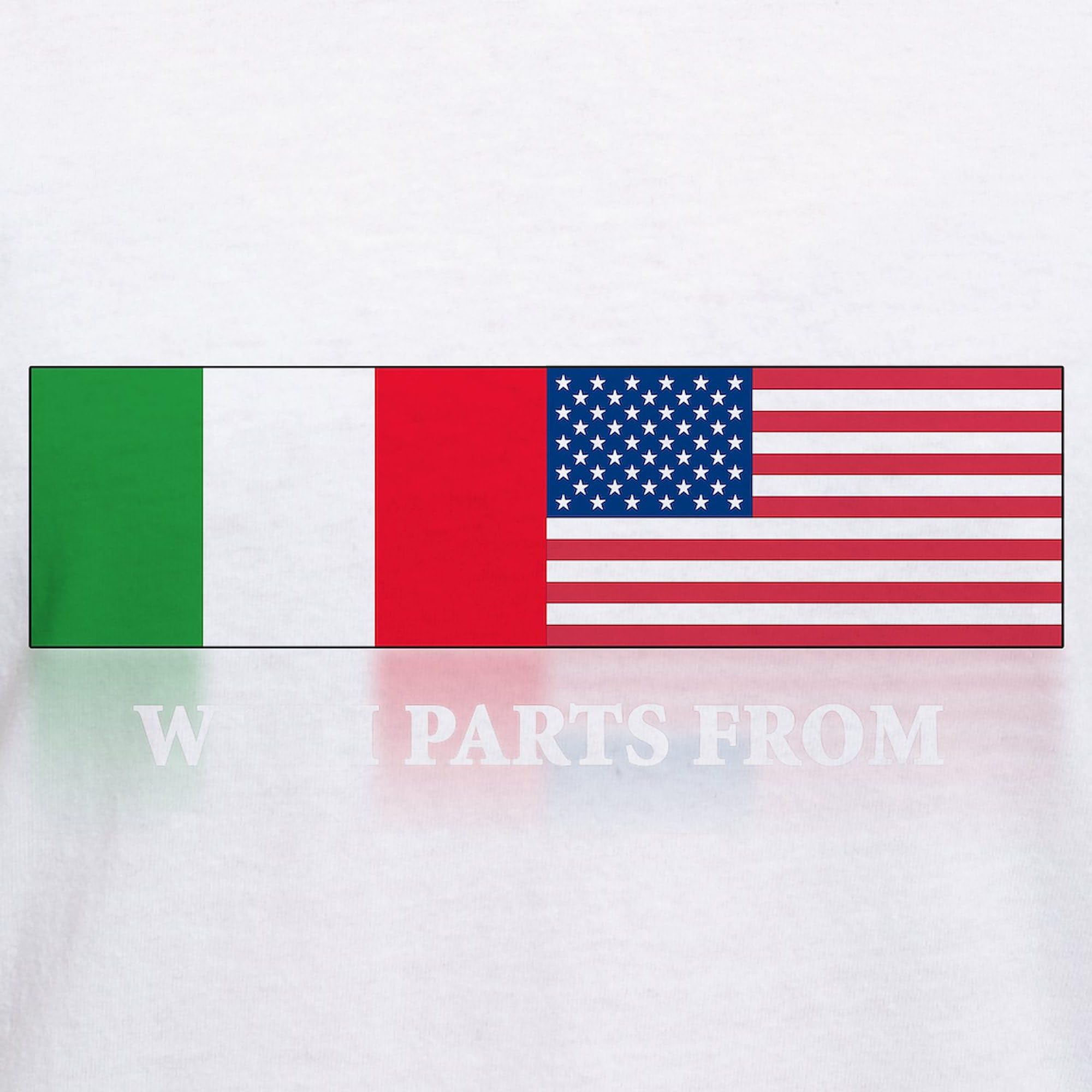 Italian Pride Women's V-Neck Cotton T-Shirt - Comfortable & Stylish Casual Wear for Italian Heritage Celebrations, Festivals & Everyday Outfits