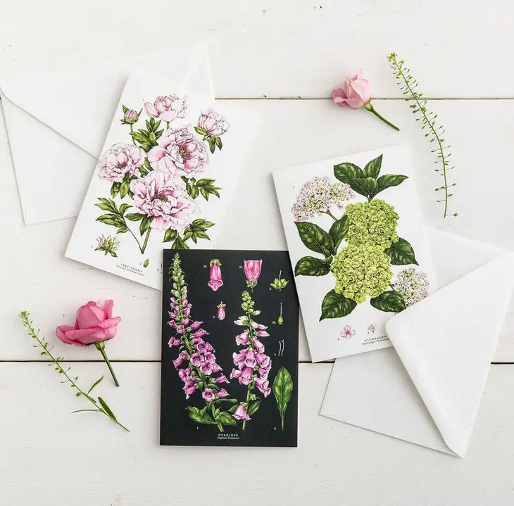 Peony Blank Greeting Card Set - Elegant Floral Design for Birthdays, Weddings & Thank You Notes - Perfect for DIY Crafting & Handwritten Messages