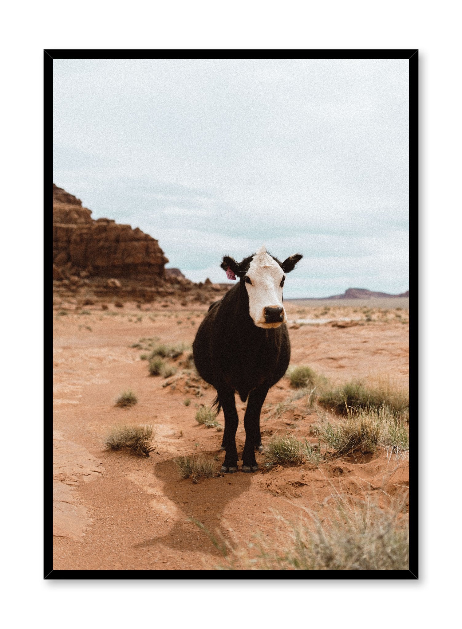 Desert Cattle Wall Art Poster - Vintage Western Cowboy Decor for Home, Office & Ranch - Perfect for Western Theme Rooms, Farmhouse Style & Country Living