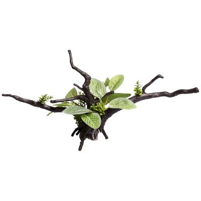 Aqua One Ecoscape Driftwood Green Ignotous - Natural Aquarium Decoration for Fish Tank, Terrarium & Reptile Habitat - Perfect for Aquascaping & Aquatic Plant Setup