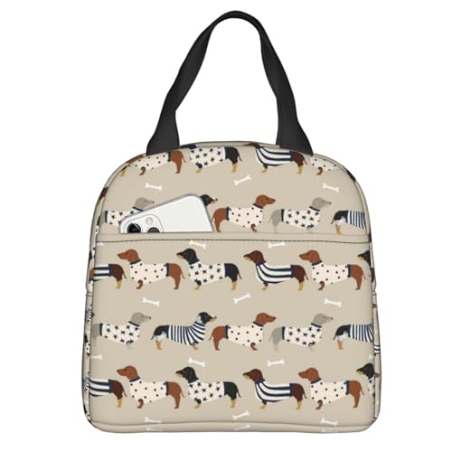 Dachshunds Dog