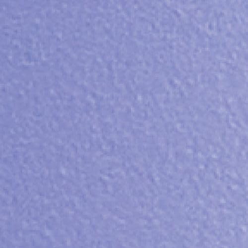 Lupine Purple