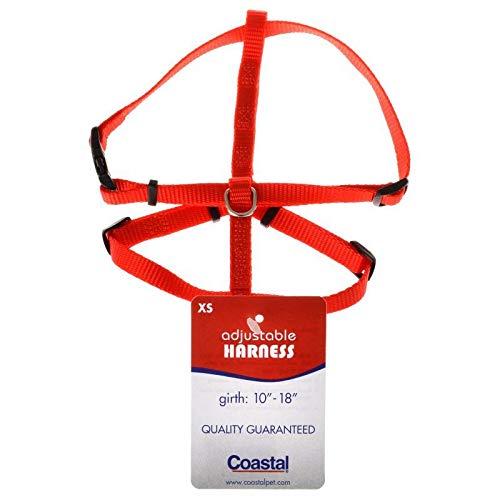Adjustable Nylon Dog Harness for Small Dogs - Red XS (10-14