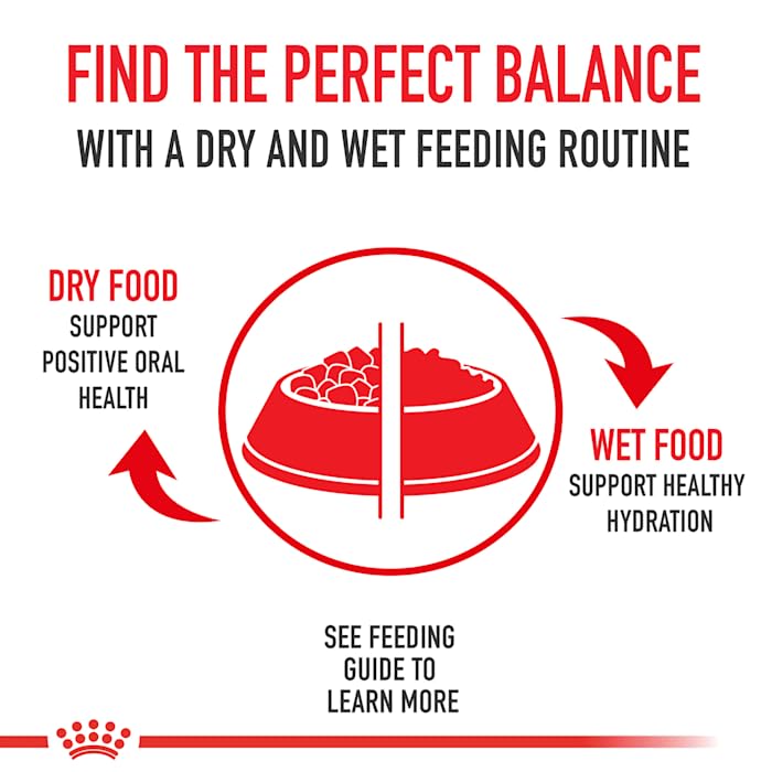 Royal Canin Large Breed Adult Dry Dog Food - 6 lb Bag | Premium Nutrition for Big Dogs | Ideal for Active & Senior Large Breeds