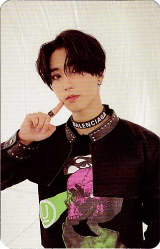 STRAY KIDS Official Oddinary Photocard - Limited Edition Kpop Merchandise for Fans Collection & Display