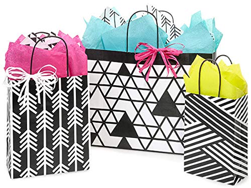 Set of 6 Eco-Friendly Kinetic Ink Paper Shopping Bags (3 Sizes) with Tissue Paper - 100% Recyclable & Made in USA | Perfect for Retail Stores, Gift Packaging & Boutique Shopping