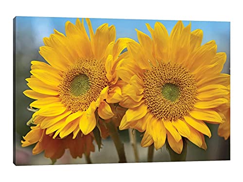 Sunflower Artwork-06