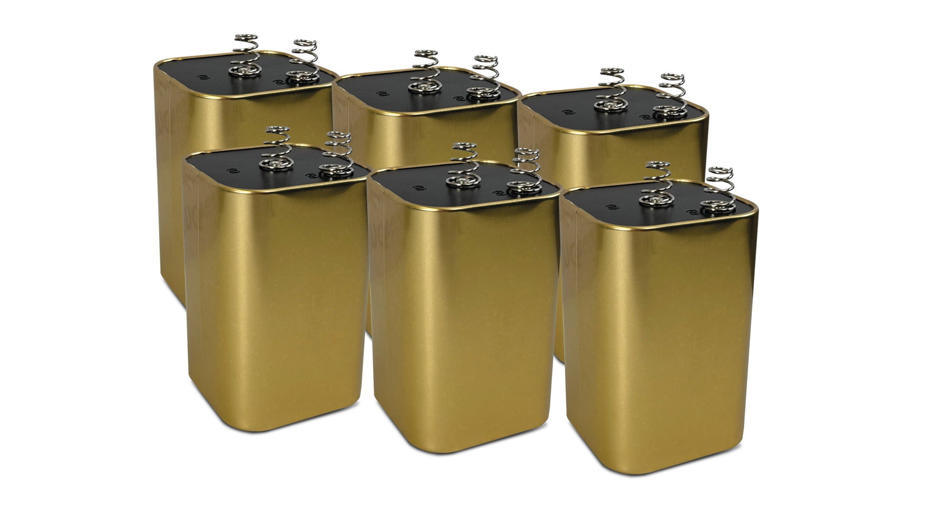 6-Pack Alkaline Lantern Batteries (6V DC) - Long Lasting Power for Camping Lights, Emergency Flashlights & Outdoor Equipment