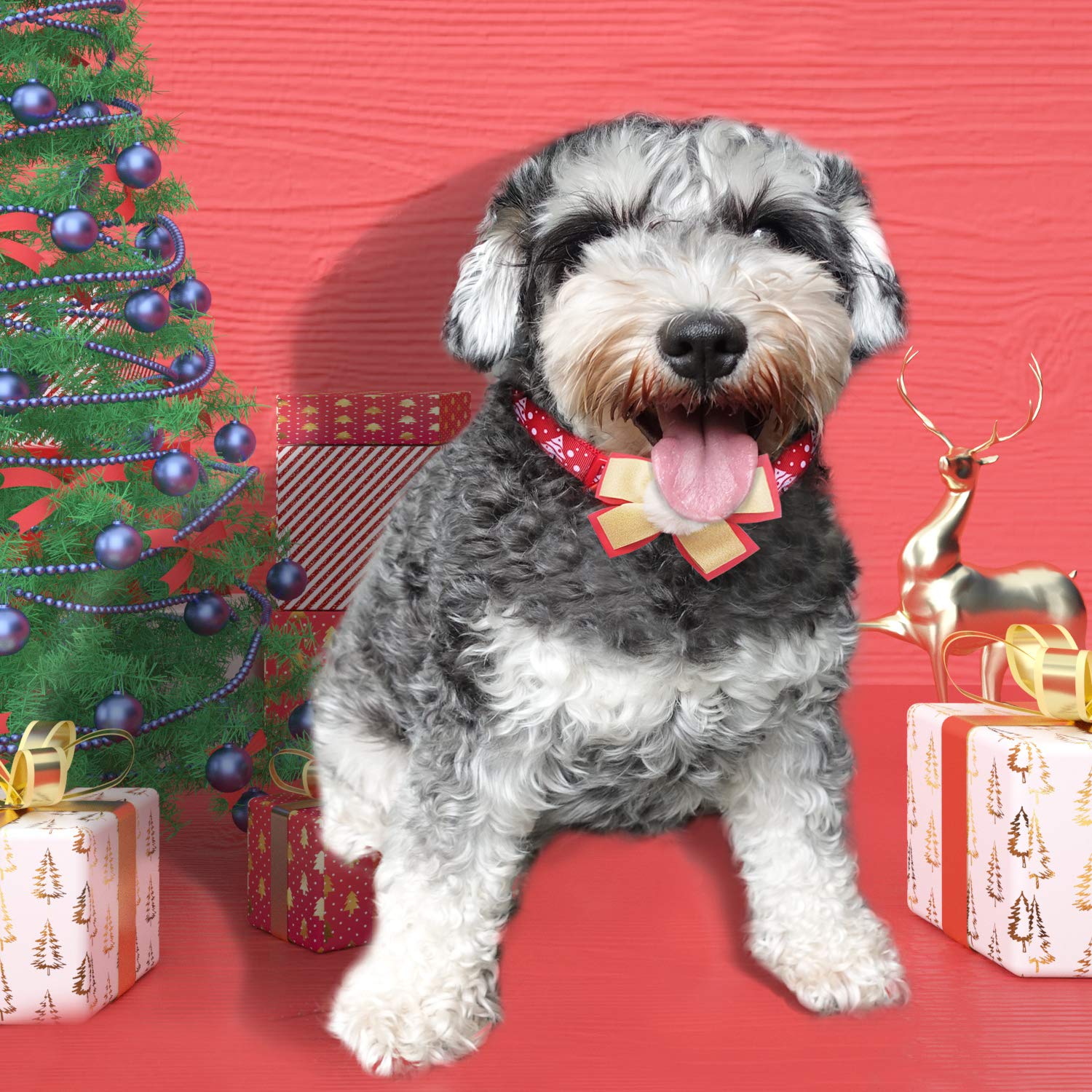 Azusa Christmas Dog Collar with Big Pompom Bowtie - Festive Holiday Pet Collar for Small Dogs & Puppies | Perfect for Christmas Photos, Holiday Parties & Gift Giving