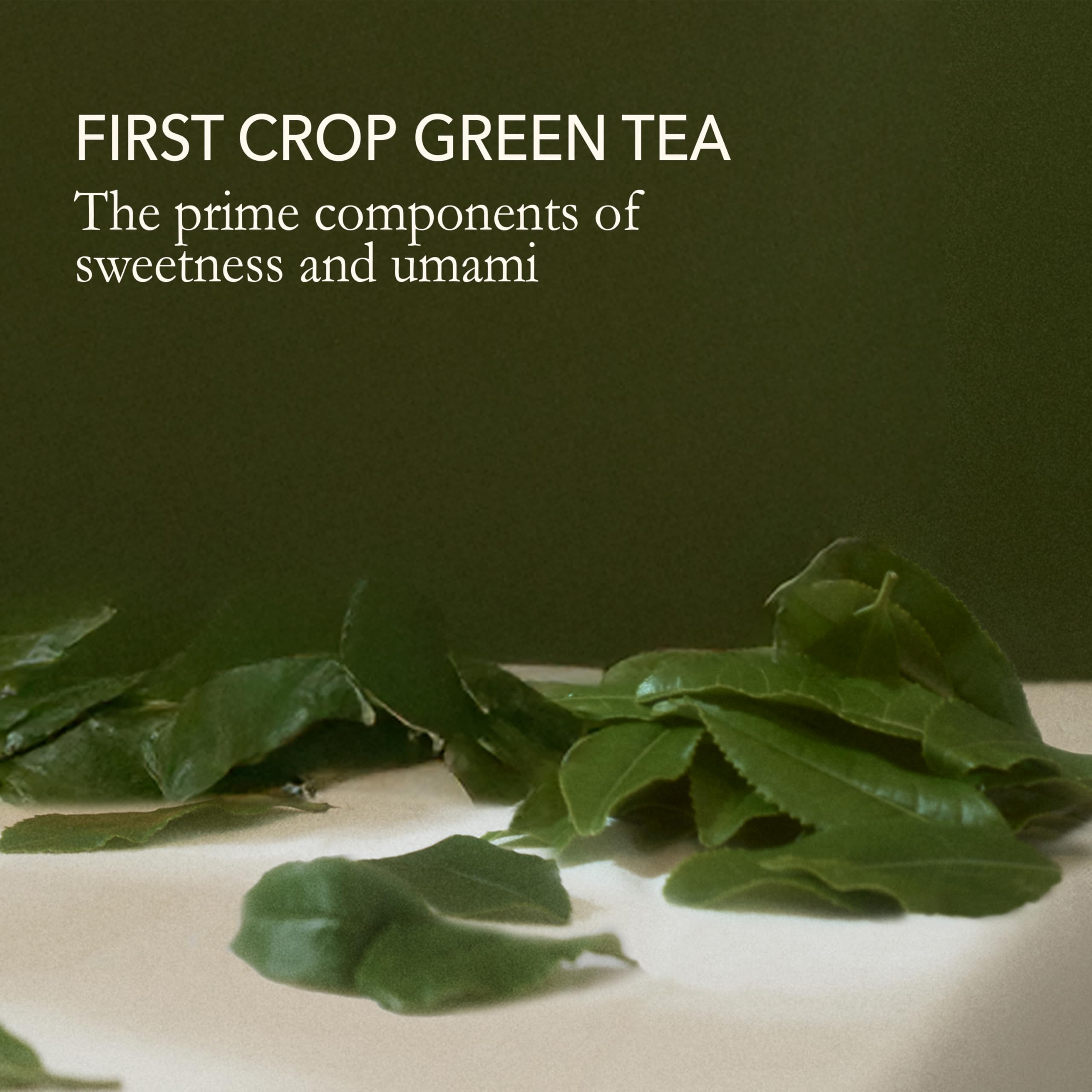 Premium Japanese Green Tea - Issaku Reserve Loose Leaf Sencha (3.5oz/100g) | Antioxidant-Rich Fukamushi Green Tea Leaves | Vegan & All-Natural | Perfect for Morning Boost, Afternoon Relaxation & Tea Ceremonies