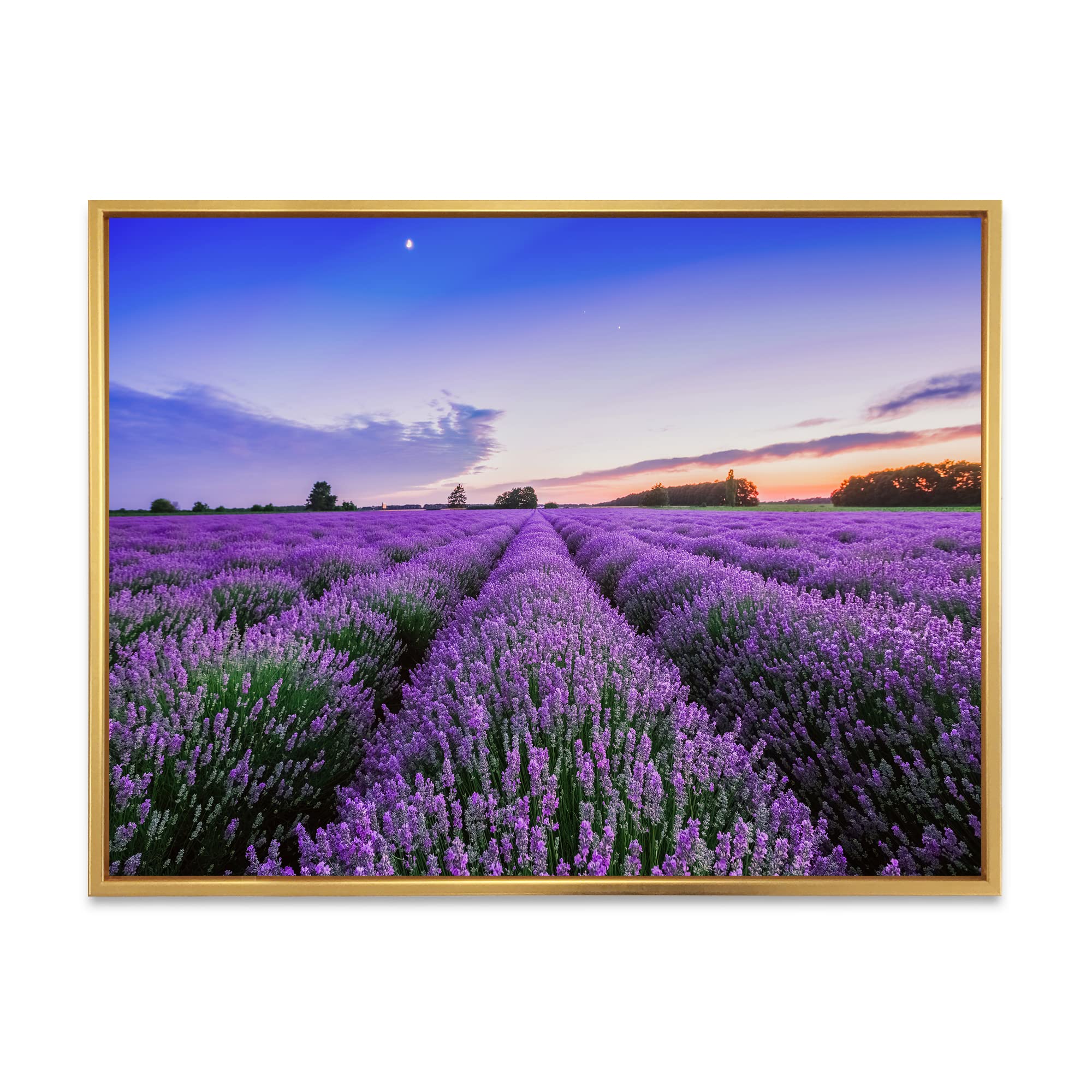 Sunrise & Dramatic Clouds Over Lavender Field II - Farmhouse Framed Canvas Wall Art Print for Living Room, Bedroom & Office Decor