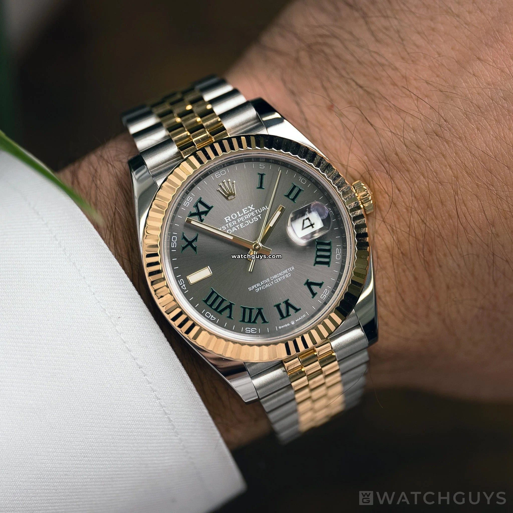 Rolex Datejust 126333 Wimbledon Men's Watch - Luxury Automatic Stainless Steel & Gold Timepiece for Business, Gifting & Special Occasions