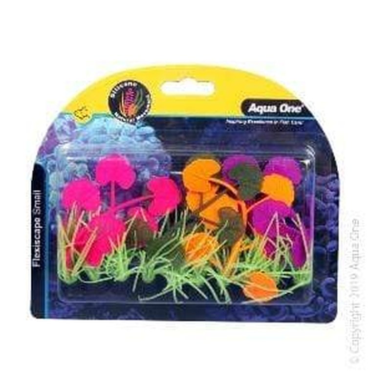 Aqua One Flexiscape Small Pennywort Purple Pink Orange Live Aquarium Plant 10cm - Perfect for Freshwater Fish Tanks & Aquascaping