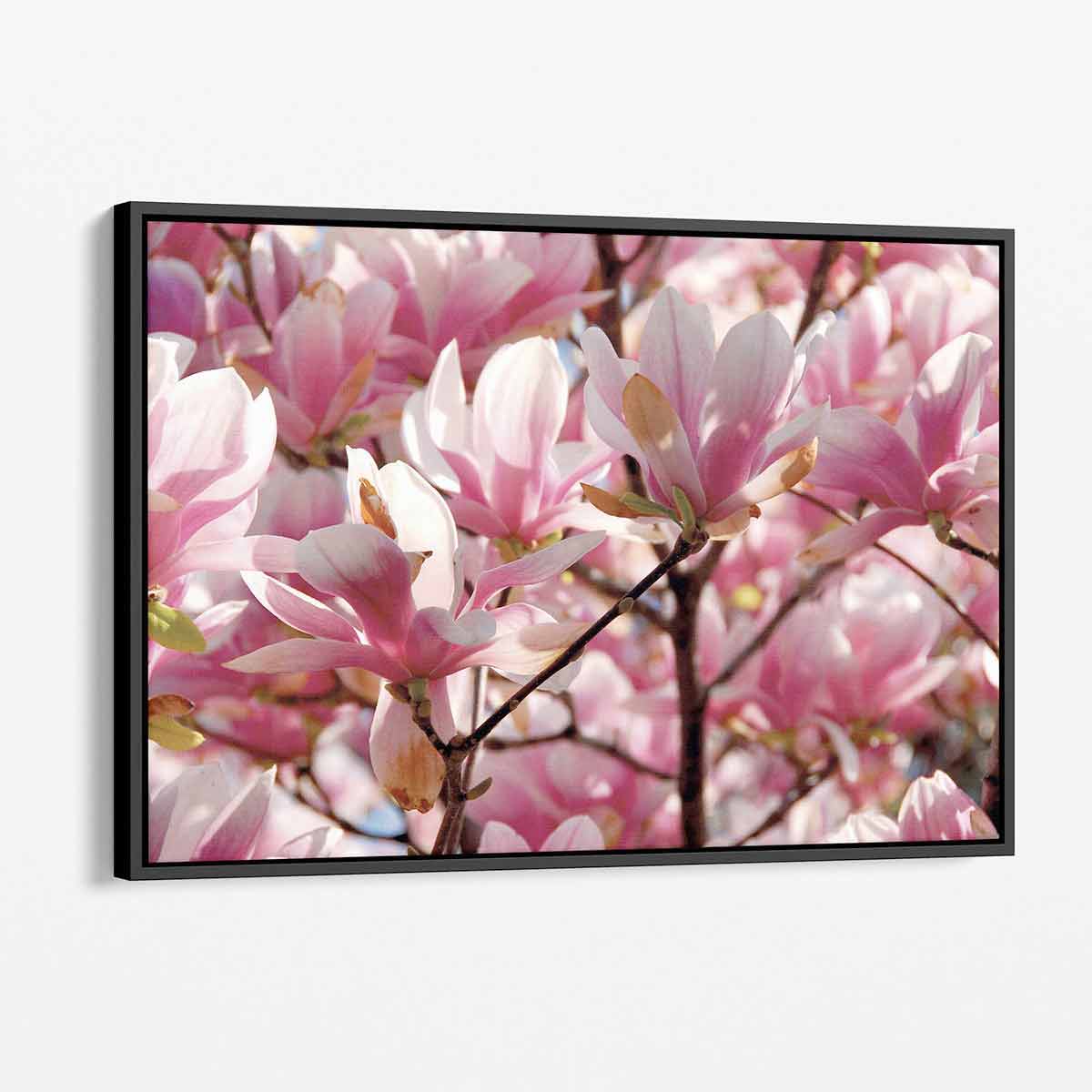 Pink Magnolias Wall Art Canvas Print - Floral Home Decor for Living Room, Bedroom & Office - 7940