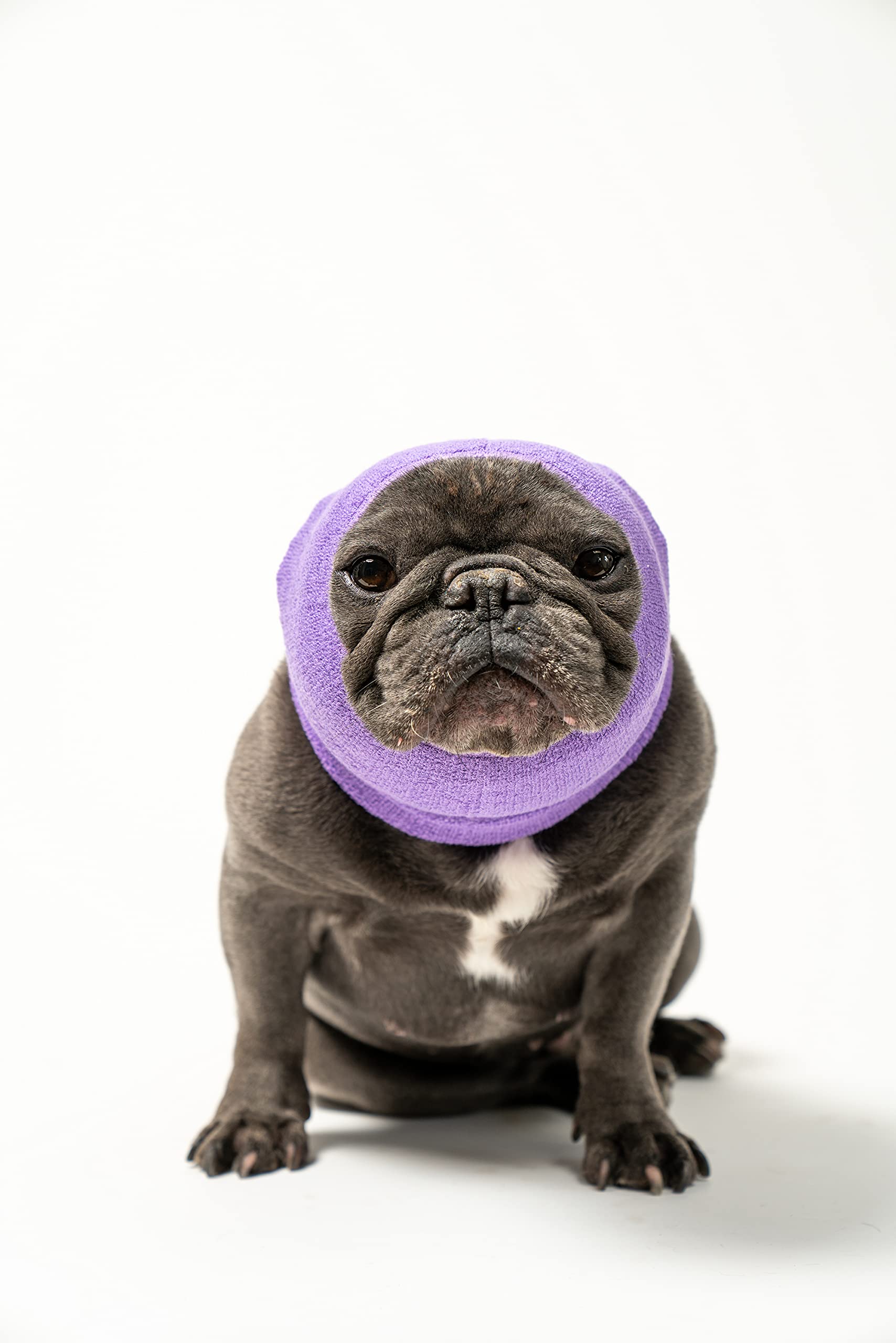 Pet Hoodz for Dogs - Anxiety Relief, Grooming & Ear Protection Hoodie | Calming Compression Ear Muffs for Small Dogs (Lavender) | Perfect for Vet Visits, Grooming & Fireworks Anxiety