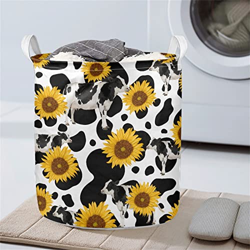 Cow Sunflowers
