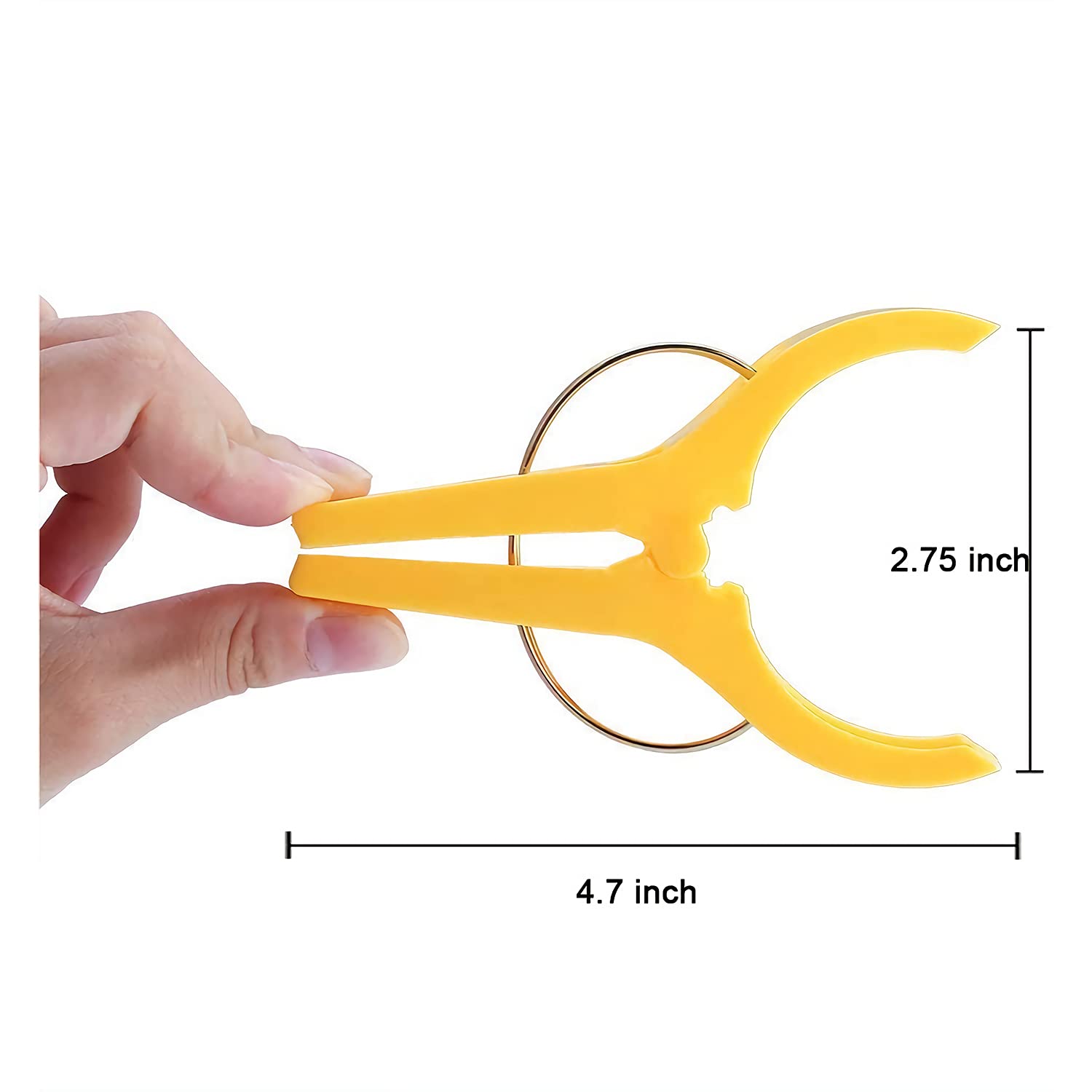 10 Pack Heavy Duty Beach Towel Clips - Large Bright Colored Clamps for Beach Chairs, Cruise Vacations & Outdoor Use | Secure Towels, Blankets & Clothes from Wind | Perfect for Poolside, Picnics & Travel