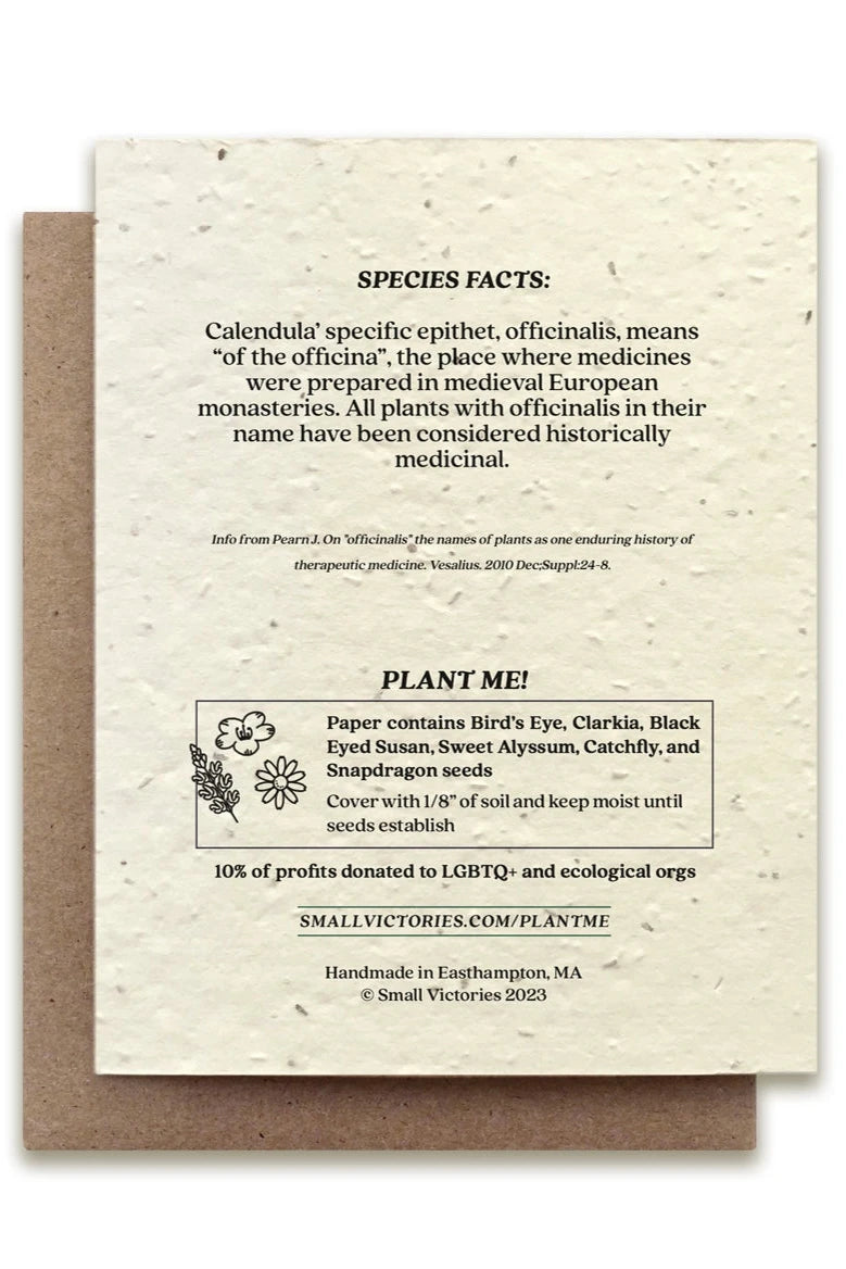 Eco-Friendly Calendula Seeded Greeting Card - Plantable Wildflower Gift for Birthdays, Weddings & Thank You Notes - Sustainable Stationery for Eco-Conscious Shoppers
