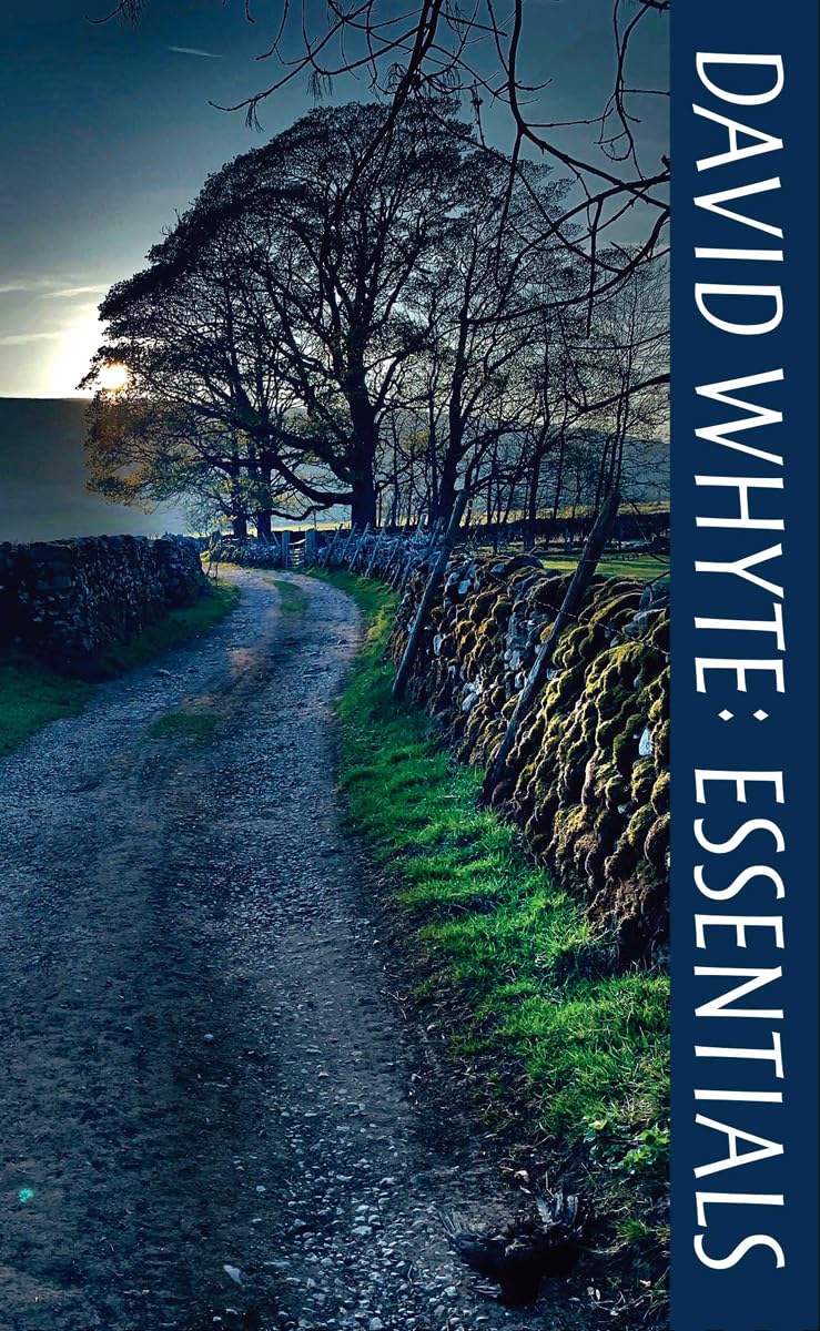 David Whyte Essentials - Inspirational Poetry Books & Motivational Gifts for Self-Discovery, Meditation & Spiritual Growth | Perfect for Daily Reflection, Book Clubs & Thoughtful Presents