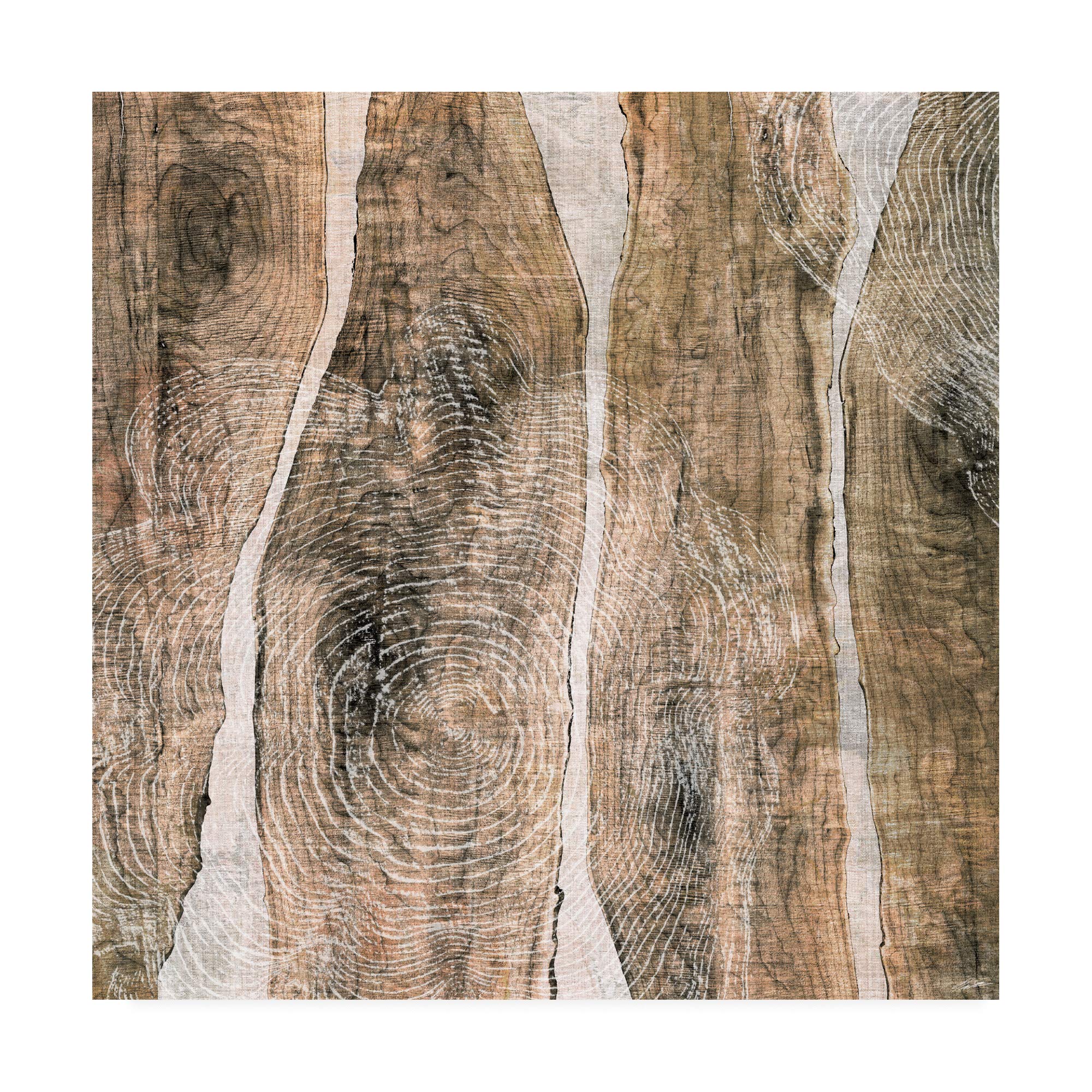 John Butler Live Edge III Fine Art Print - 18x18 Inches - Modern Wall Decor for Living Room, Bedroom & Office