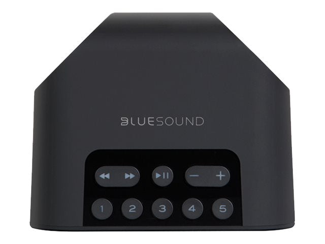 Bluesound PULSE FLEX 2i Wireless Hi-Fi Speaker - Premium Sound Quality for Home, Office & Outdoor Use | Stream Music via WiFi & Bluetooth | Perfect for Parties, Relaxation & Entertainment