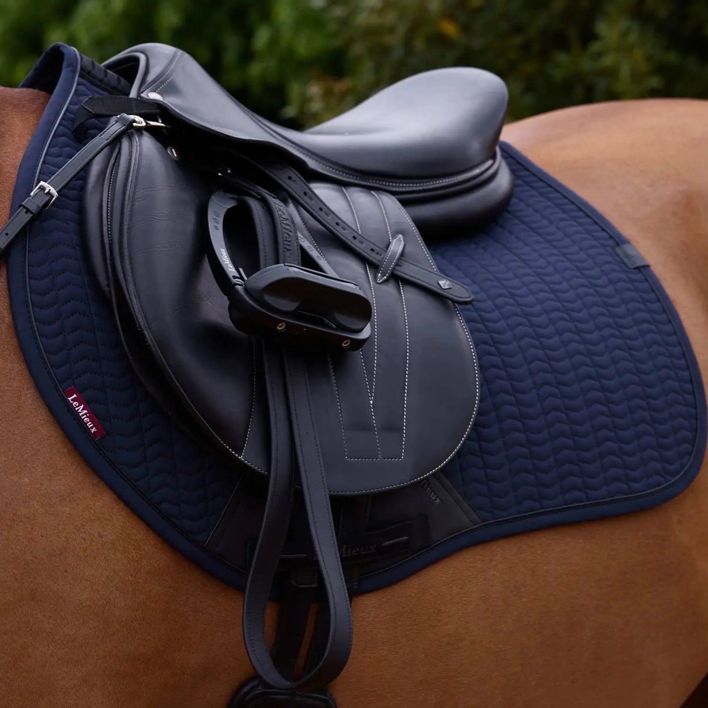 LeMieux Eurojump Square Saddle Pad - Breathable & Shock-Absorbing Equestrian Saddle Pad for Jumping & Dressage - Perfect for Training & Competitions