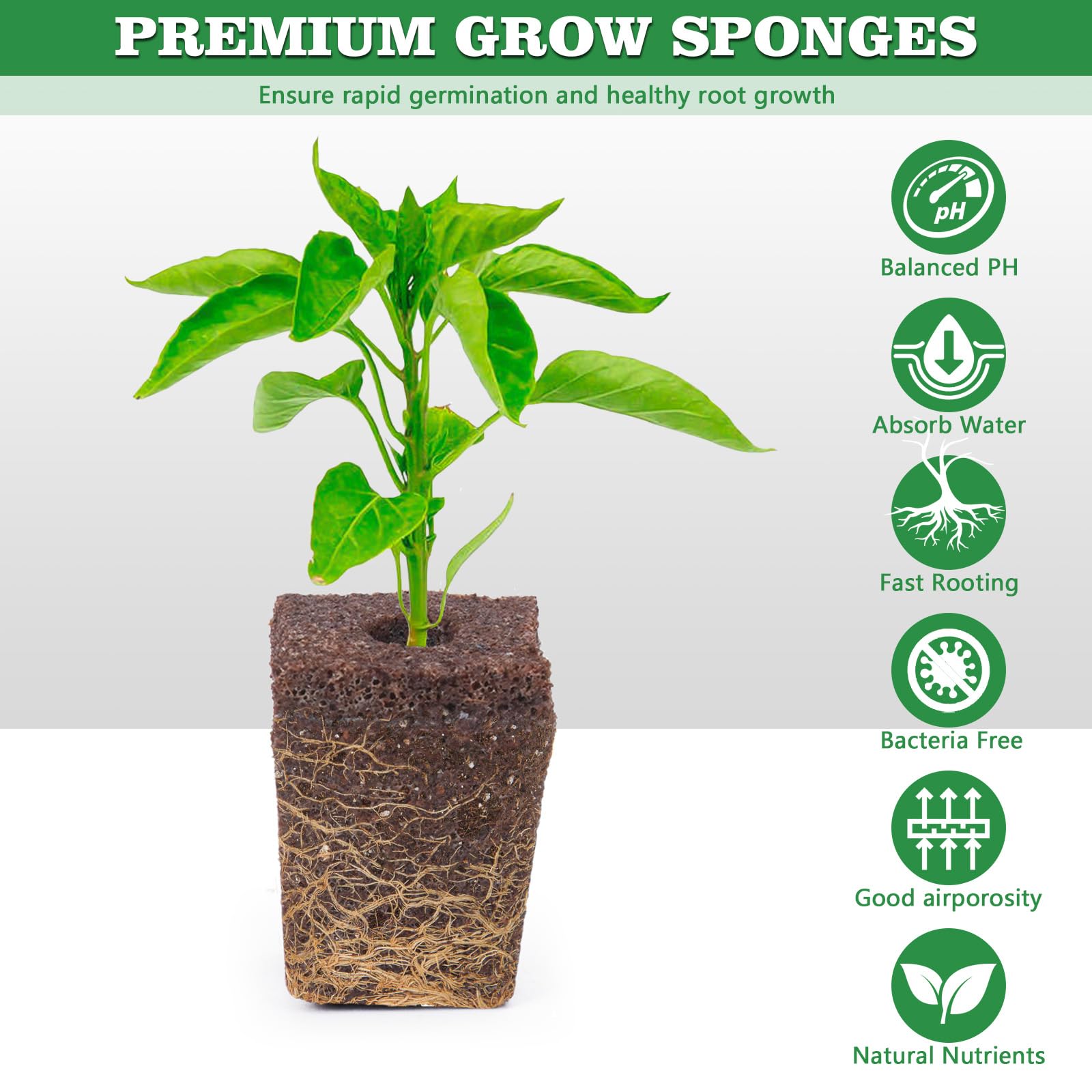 100 Pack Hydroponic Grow Sponges - Seed Starter Sponges for Indoor Gardening, Replacement Root Growth Sponges & Seed Pods Kit | Perfect for Hydroponic Systems, Aeroponics, and Home Herb Gardens