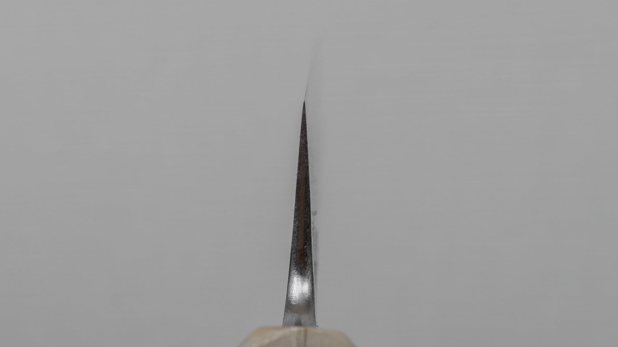 Premium Jiro Tsuchime Wa Sujihiki 210mm Japanese Slicing Knife - Taihei Tagayasan Handle (#122) - Perfect for Sushi, Sashimi & Meat Carving