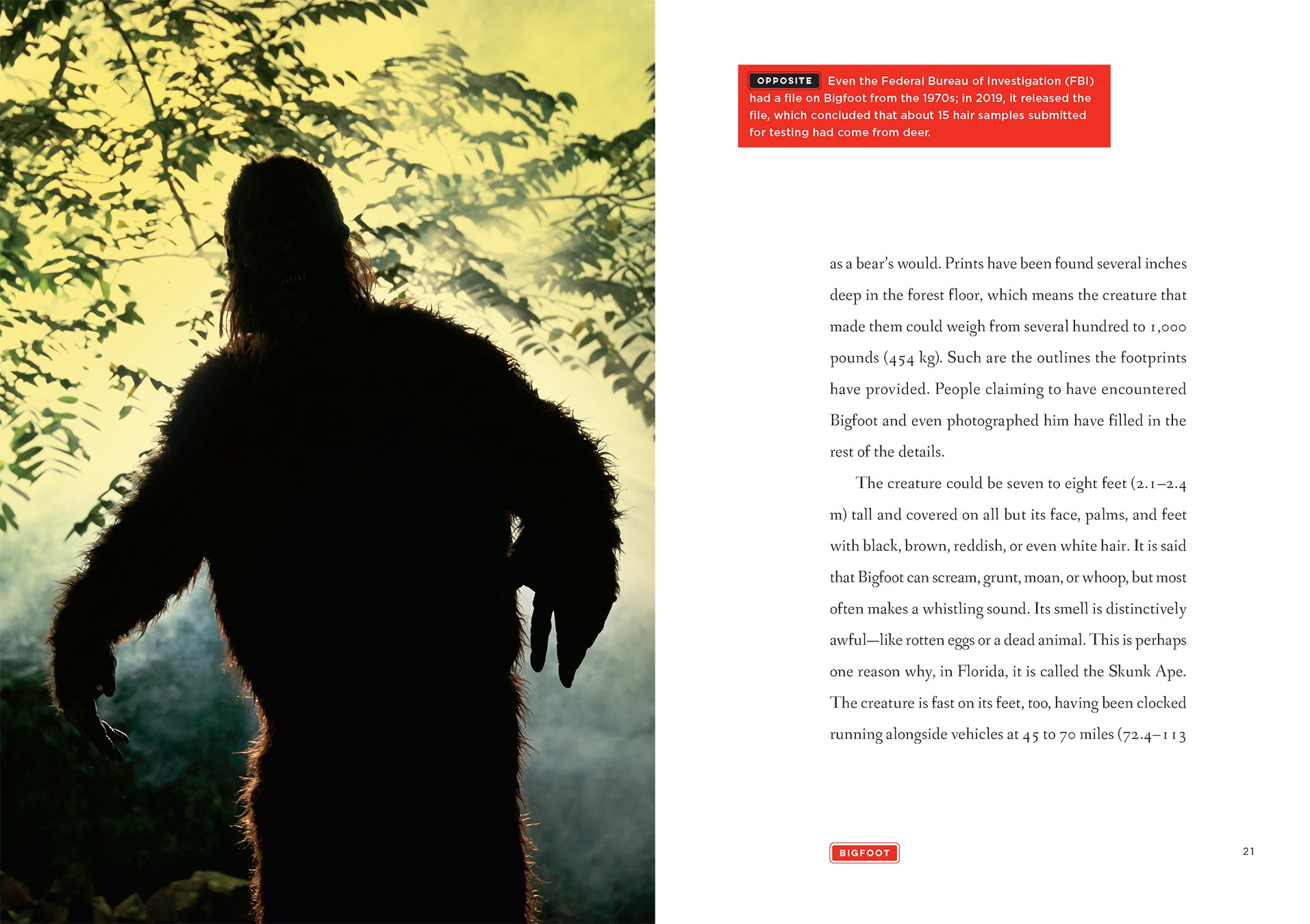 Bigfoot 9781640263628 - Authentic Collectible Book for Cryptozoology Enthusiasts - Perfect for Gifts, Home Decor, and Paranormal Research