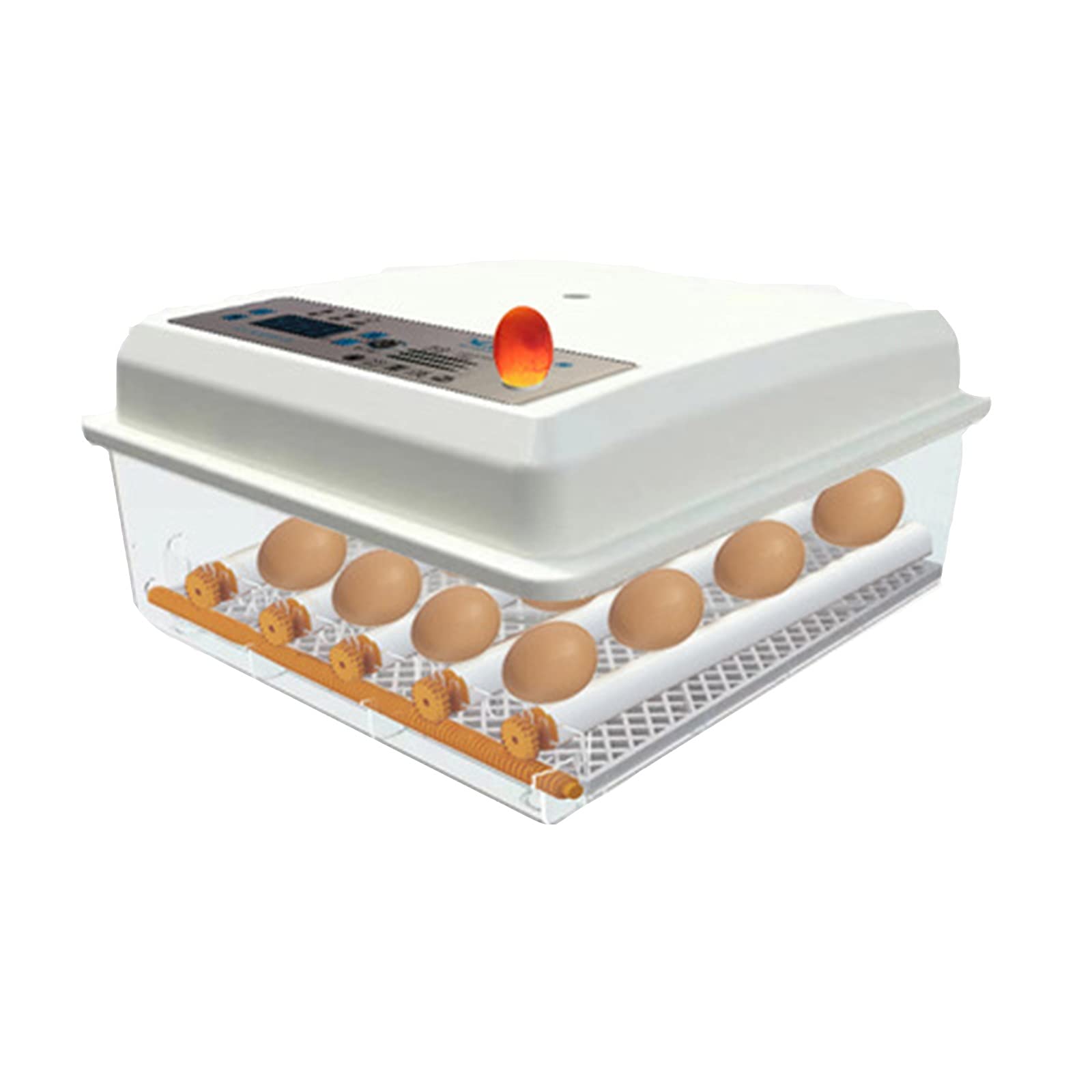 TANGIST 6-36 Egg Automatic Poultry Hatcher Machine with Digital Temperature Control & LED Candler - Home, Classroom, Lab Incubator for Chicken, Duck, Quail Eggs - Perfect for Hatching Projects, Farm Use & Science Experiments