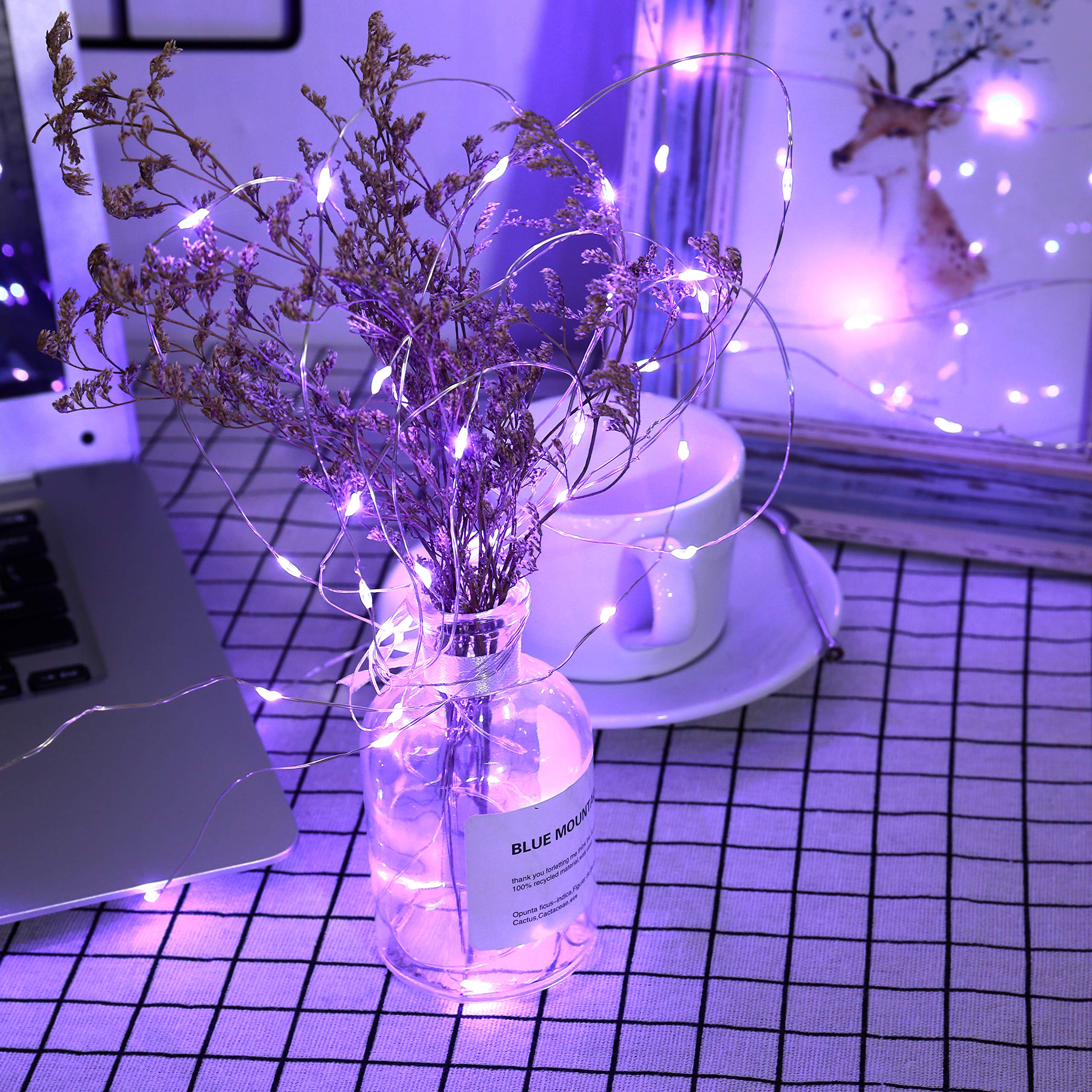 Brizled 60 LED Purple Halloween Fairy Lights - 19.47ft Battery Operated Twinkle & Steady String Lights for Indoor Decor (2 Pack) | Perfect for Halloween Party, Christmas, Bedroom, Wedding & Home Decoration
