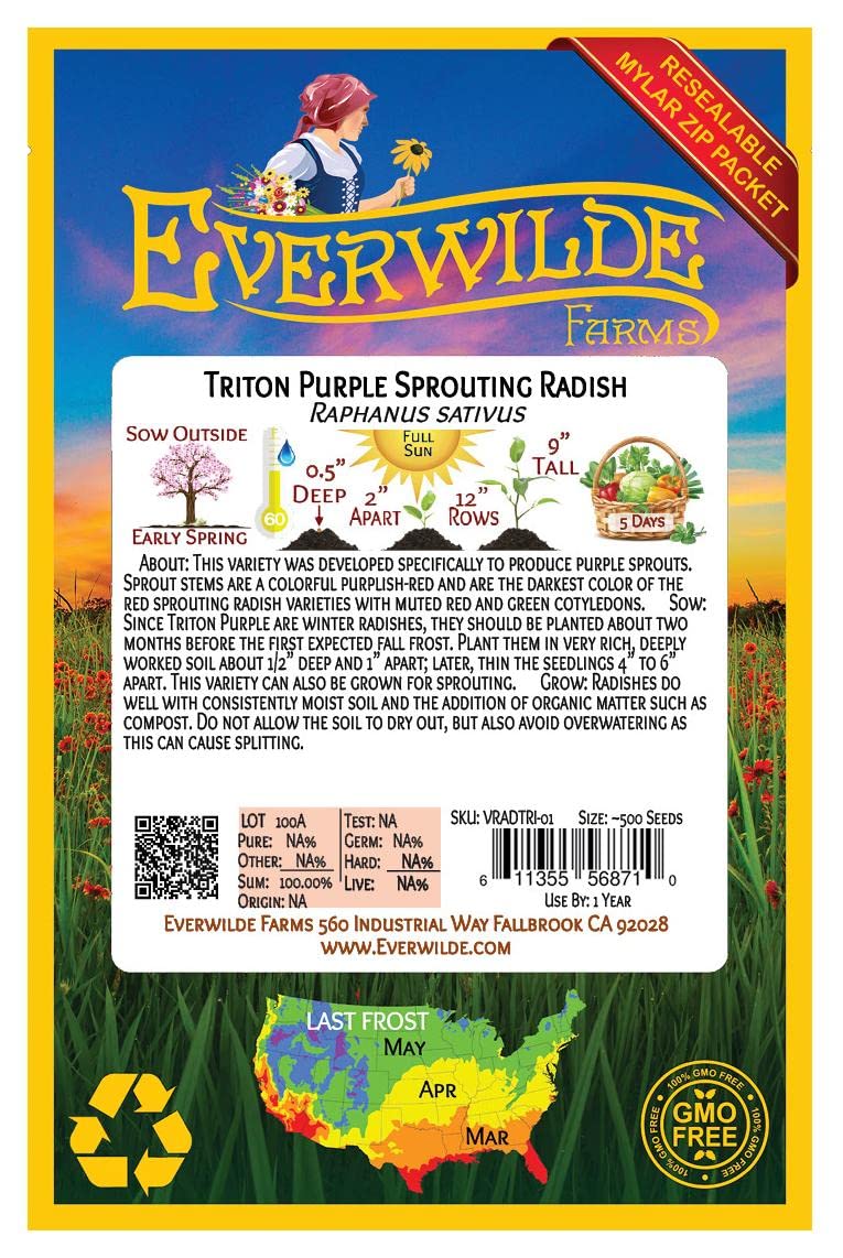 500 Triton Purple Sprouting Radish Seeds - Non-GMO Heirloom Vegetable Seeds for Home Gardening - Perfect for Salads, Stir-fries and Organic Farming | Everwilde Farms Gold Vault Jumbo Seed Packet
