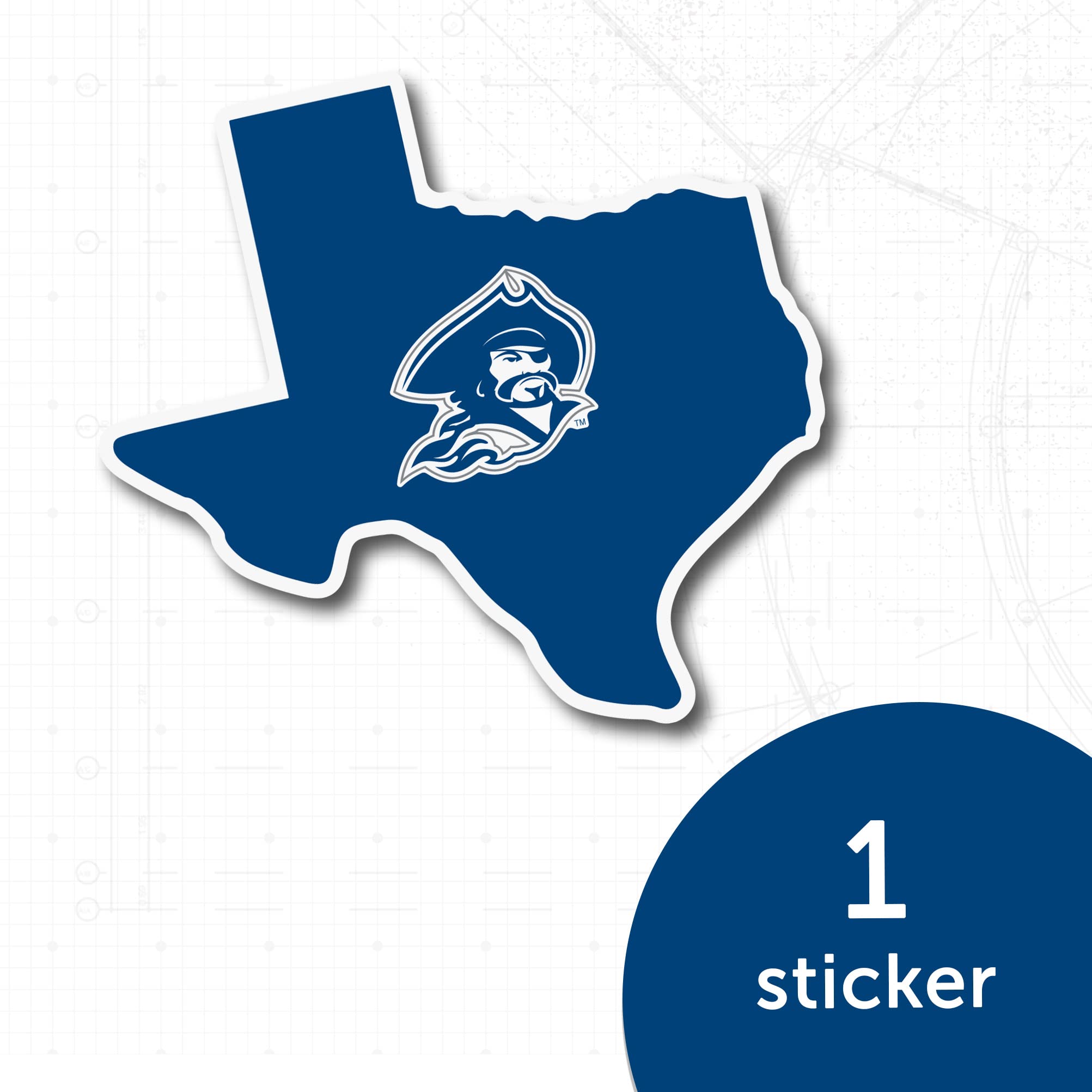Desert Cactus Blinn College Buccaneers Vinyl Decal - Waterproof Sticker for Laptop, Water Bottle, Car, Scrapbook & DIY Crafts - Perfect for School Spirit, College Pride & State Border Decorations