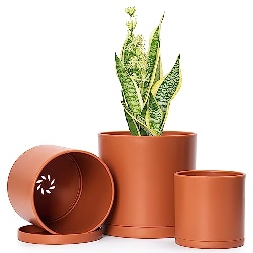 Terracotta
