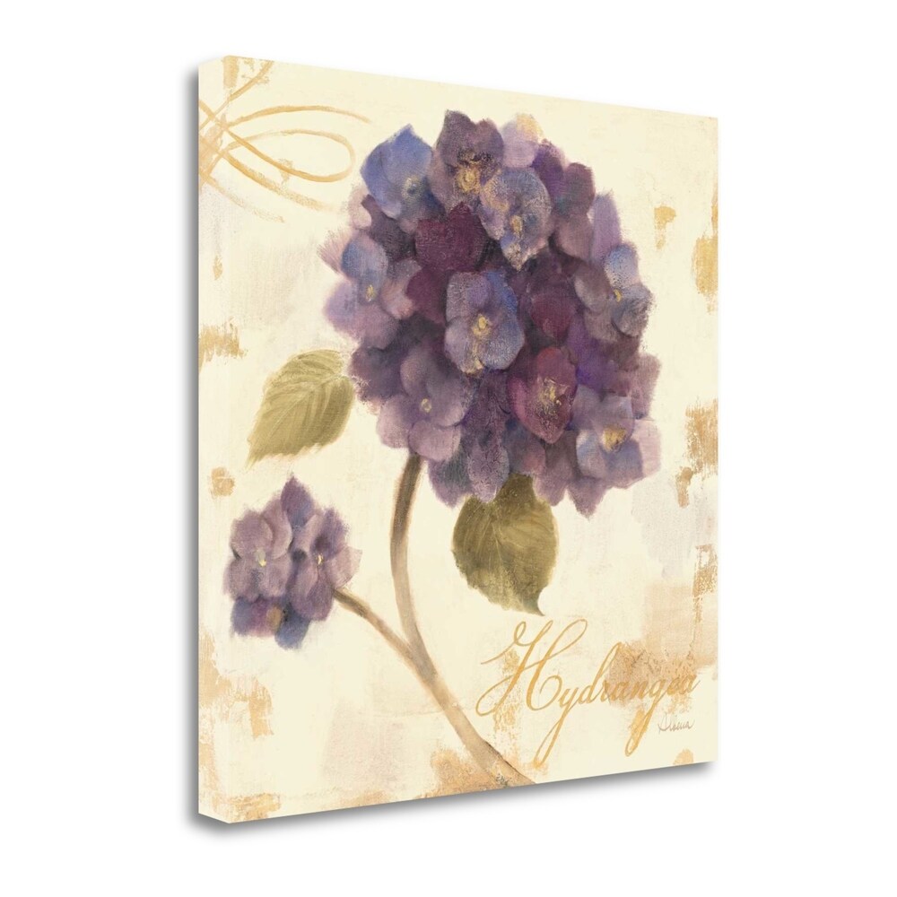Abundant Hydrangea I by Albena Hristova - Premium Giclee Print on Gallery Wrap Canvas Wall Art - Perfect for Living Room, Bedroom & Office Decor