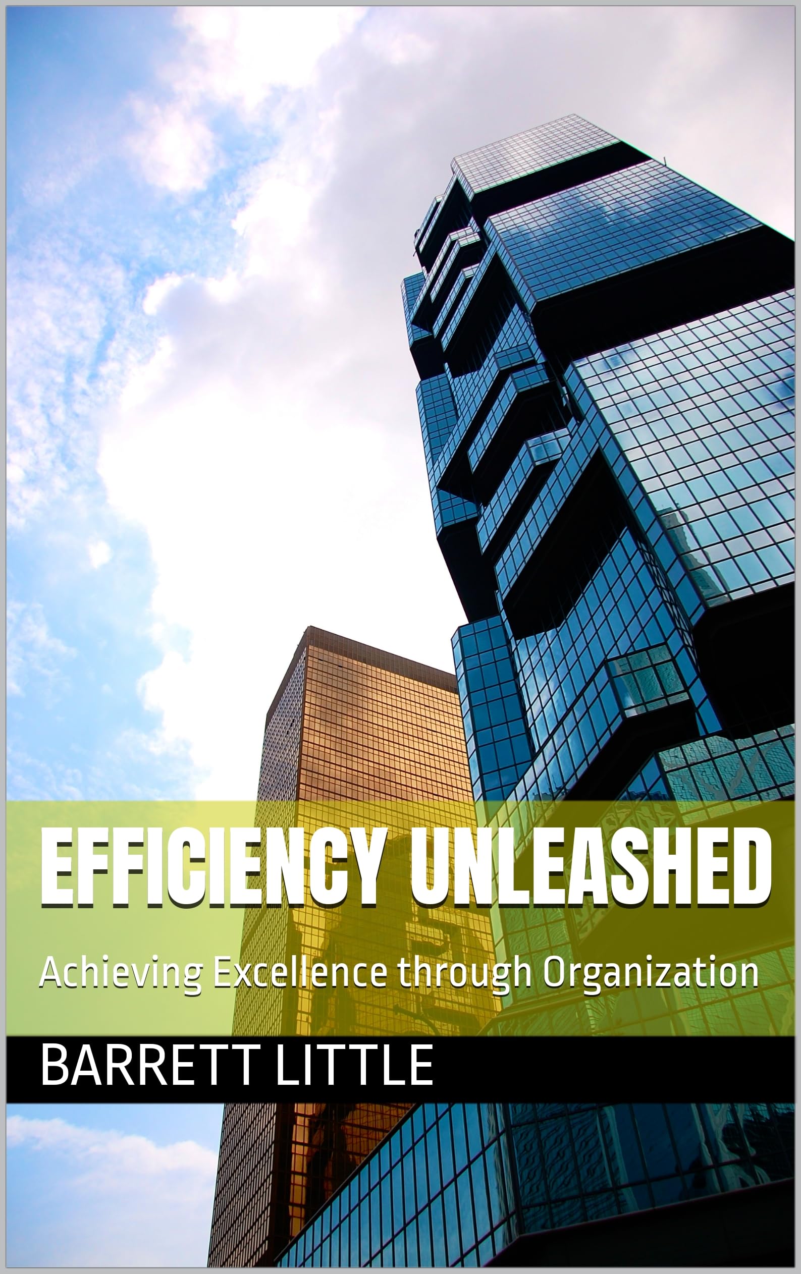 Efficiency Unleashed: Achieving Excellence through Organization - Boost Productivity for Home & Office