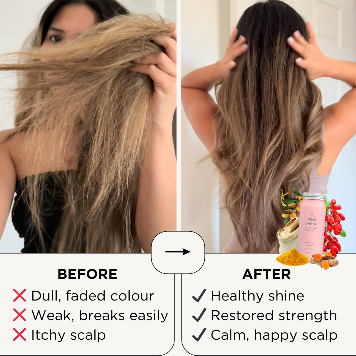 Goji Shake Shampoo Concentrate for Color-Treated Hair | Sulfate-Free Hair Treatment | Revitalizes & Protects Dyed Hair | Perfect for Post-Color Care & Daily Hydration