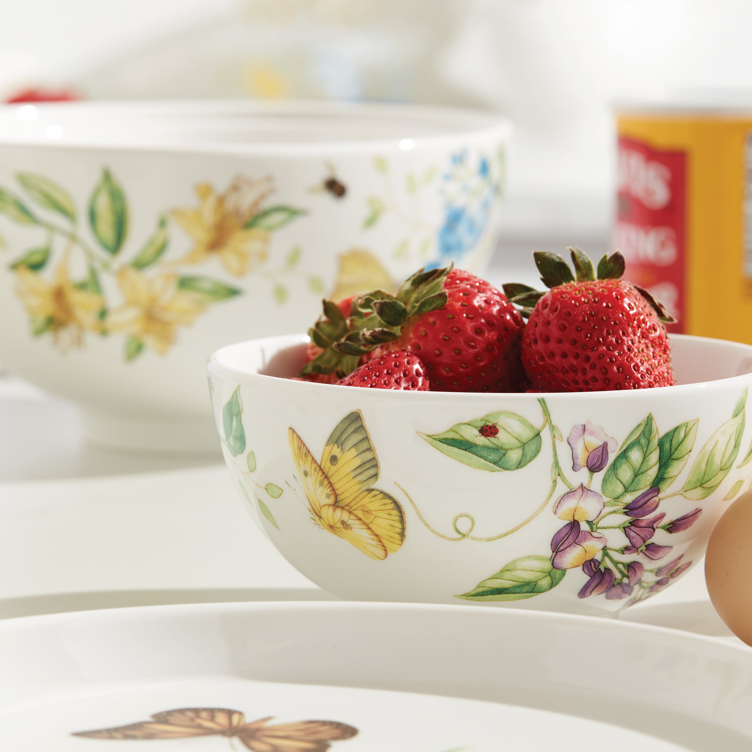 Butterfly Meadow 8-Piece Dinnerware Set - Elegant Porcelain Plates & Bowls for Everyday Dining, Dinner Parties & Home Decor