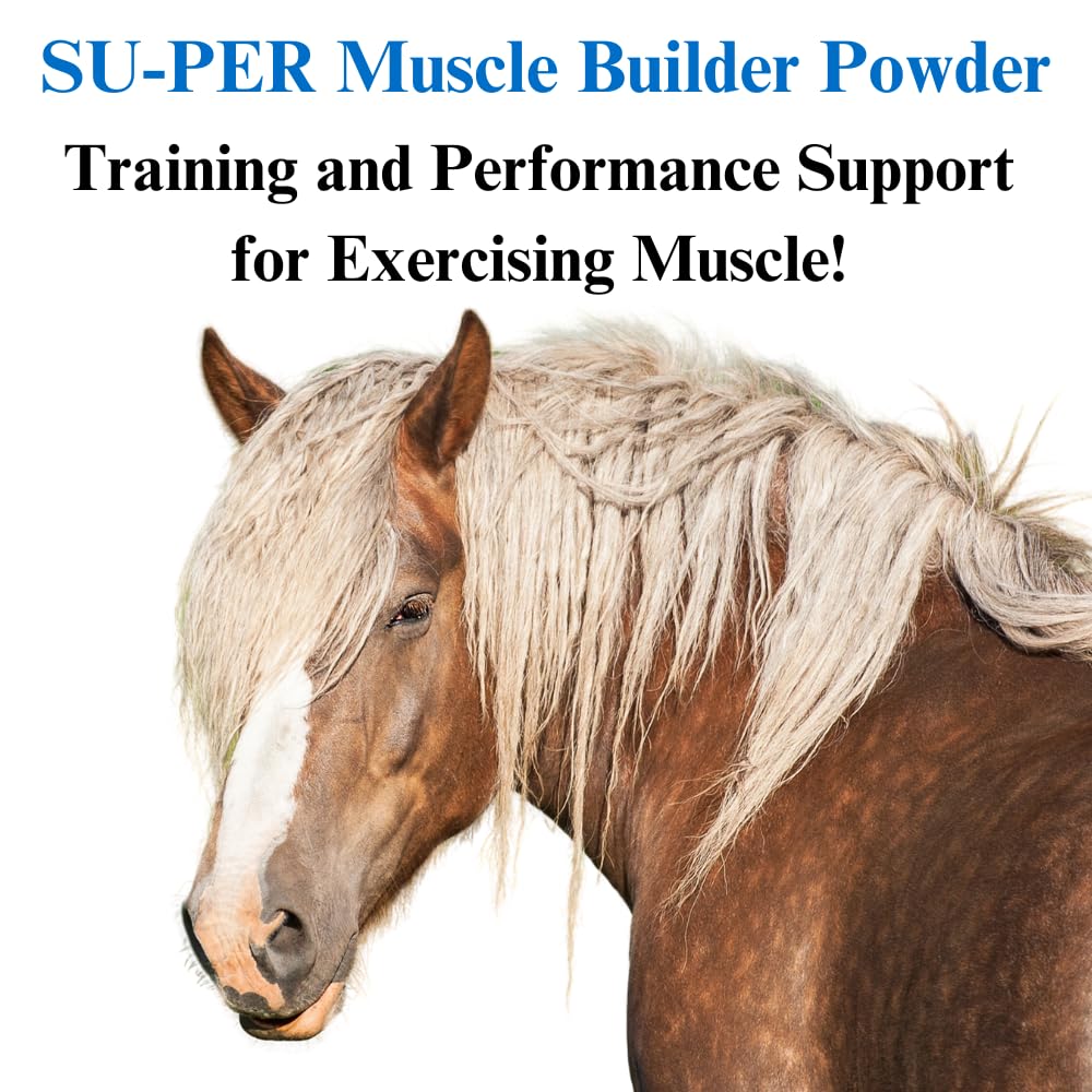 Premium Horse Muscle Builder Supplement - Enhances Training & Performance for Athletic Horses - 12.5lb (6 Month Supply) - Ideal for Racehorses, Show Jumpers & Equestrian Competitions