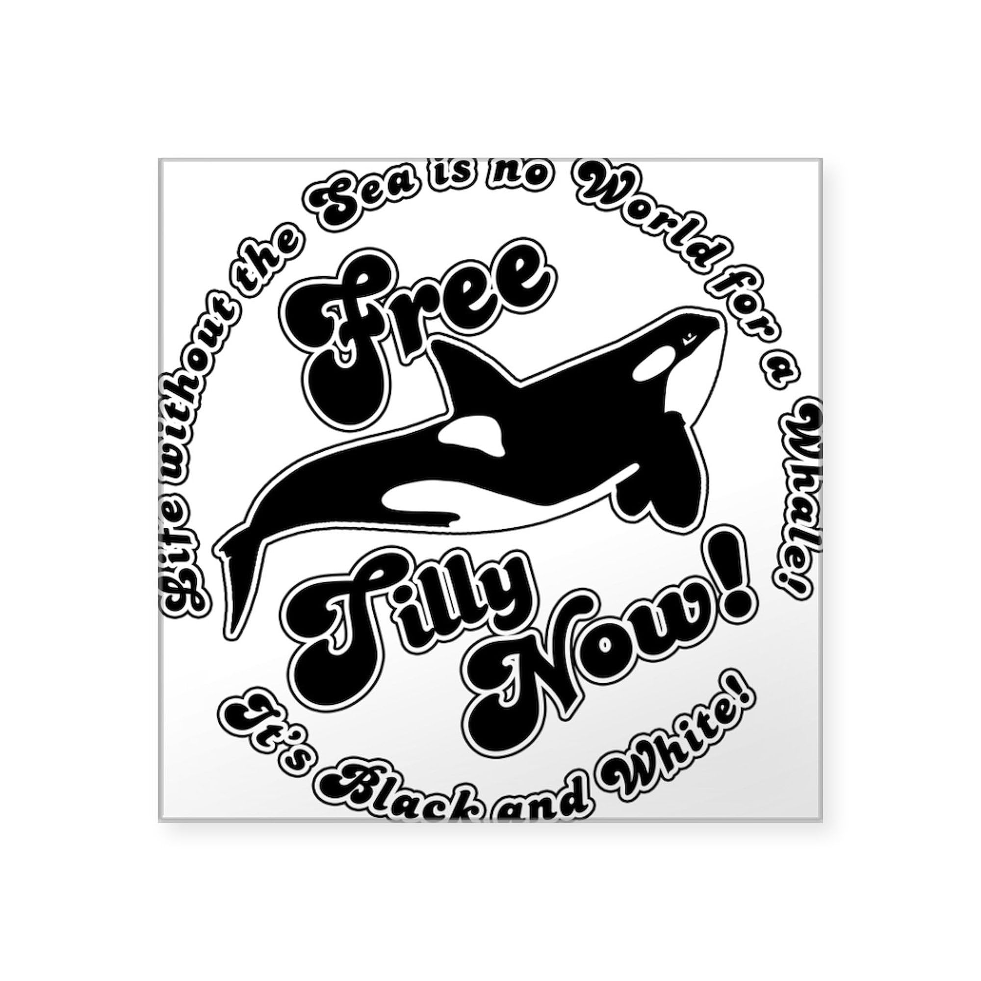 Free Tilly Now Black Square Bumper Sticker - Car Decal for Windows, Laptops & Water Bottles - Political Statement & Personal Expression