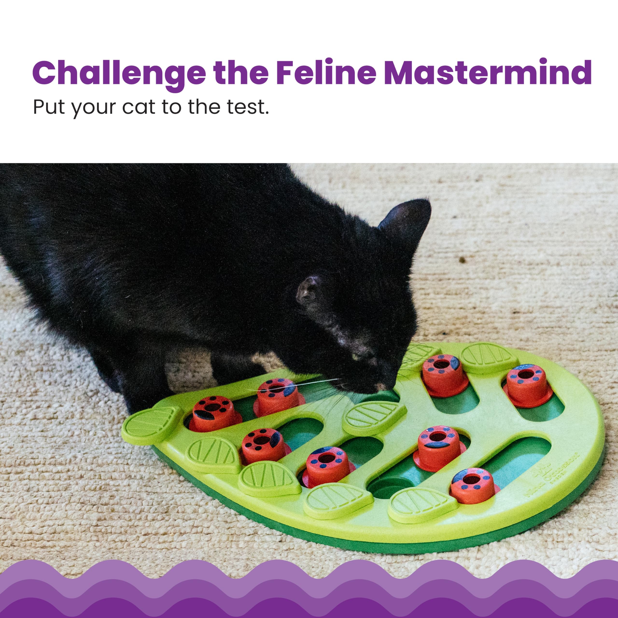 Nina Ottosson Buggin' Out Puzzle & Play - Interactive Cat Treat Puzzle Toy for Indoor Cats - Fun Mental Stimulation & Slow Feeding Game for Kittens & Adult Cats (Perfect for Boredom Relief & Mealtime Enrichment)