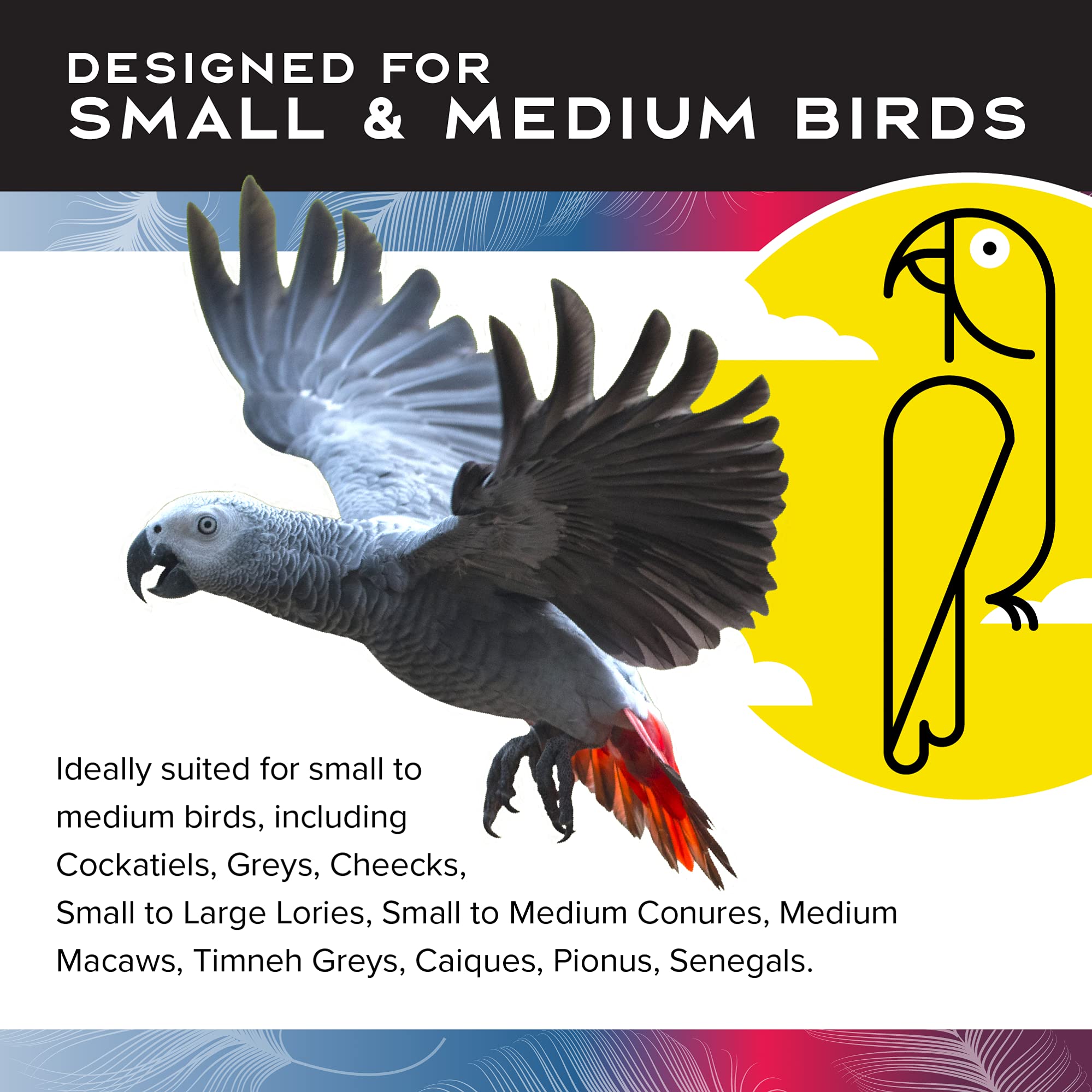 Featherland Paradise Bird Cage Toy - Colorful Chewing & Foraging Toys for Parrots, Parakeets, Cockatiels & Small Birds | Perfect for Cage Enrichment & Mental Stimulation