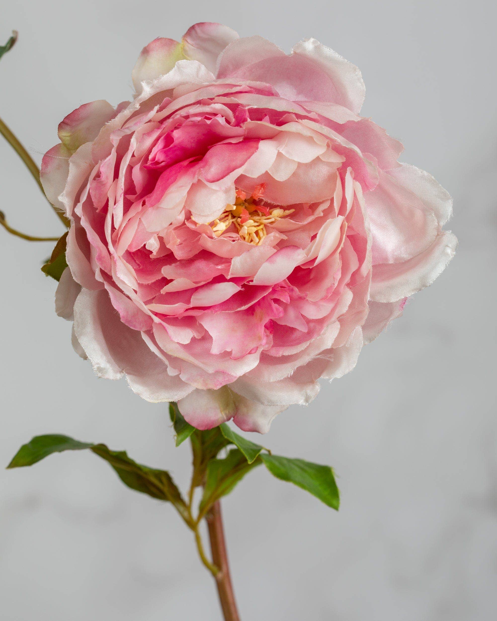 Artificial Pink Peony Flowers - 19.5