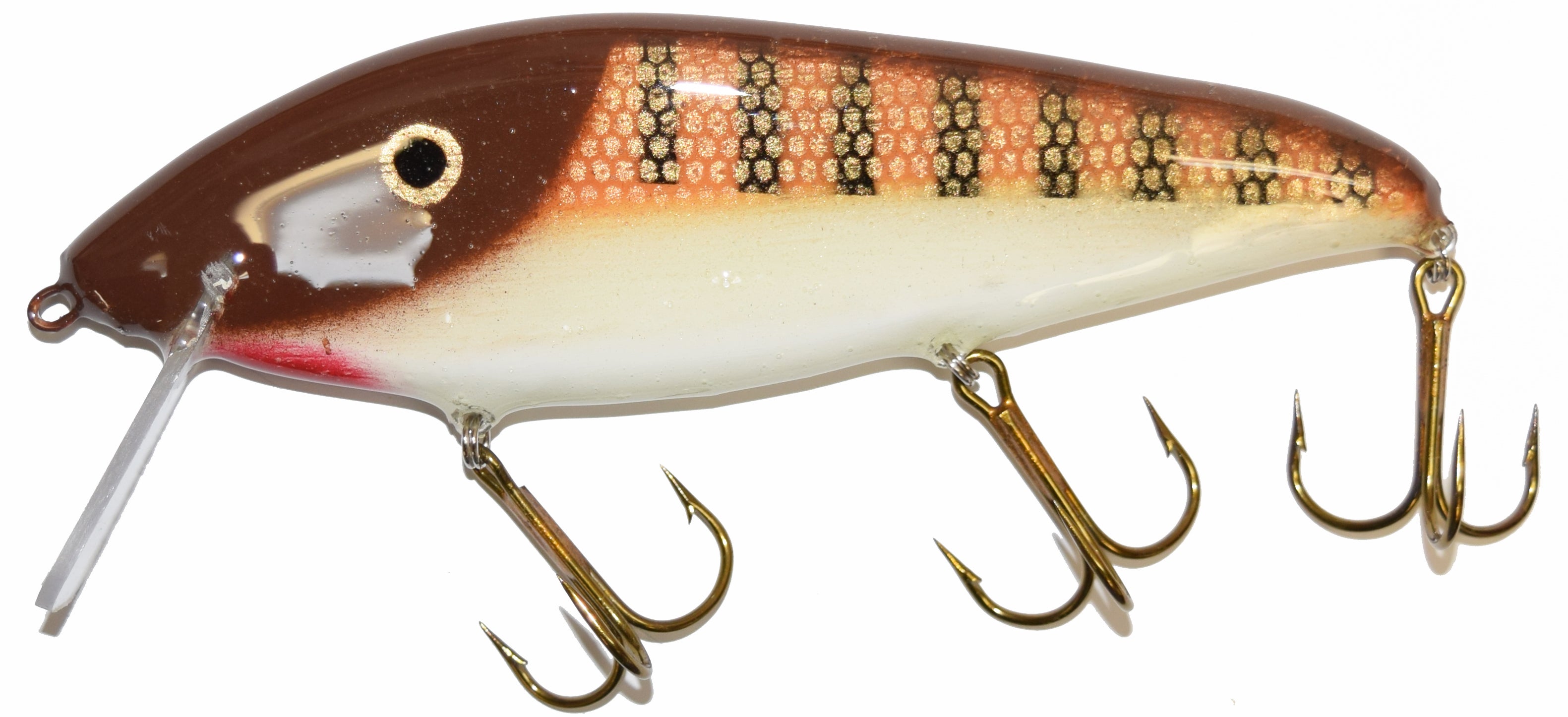 brown perch