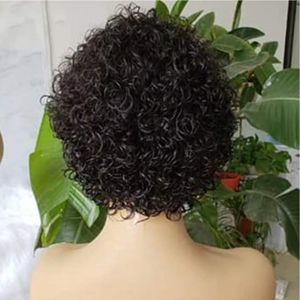 13x6 Short Curly Lace Front Human Hair Wig - Brazilian Remy Hair Pixie Cut Bob Wig for Black Women | Glueless & Breathable | Perfect for Daily Wear, Parties & Special Occasions