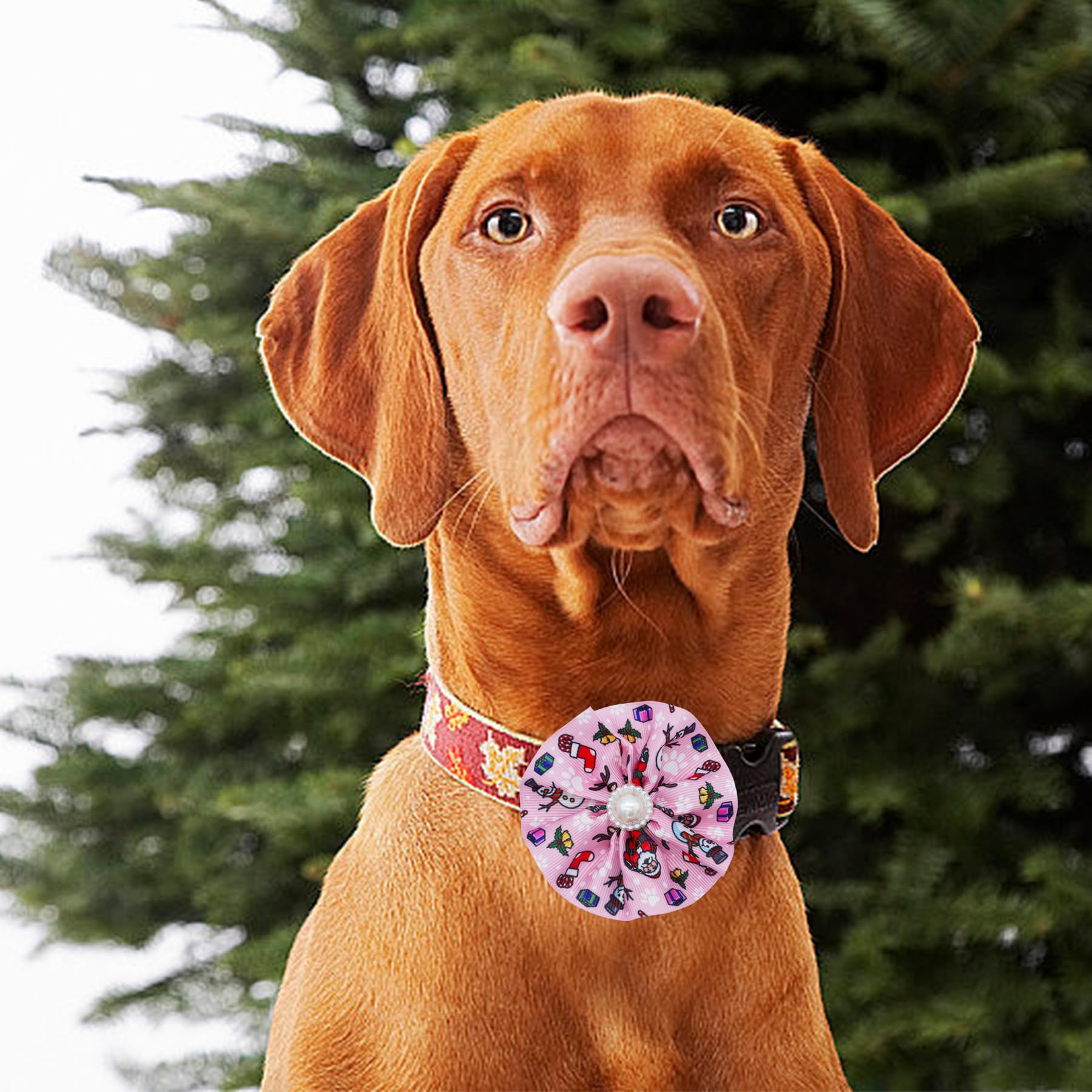 100pcs Christmas Dog Bow Ties Bulk - Adjustable Pet Neckties for Small & Medium Dogs - Holiday Puppy Accessories with Collar Charm & Paw Patterns (25 Styles) - Perfect for Christmas Parties, Pet Grooming & Festive Celebrations