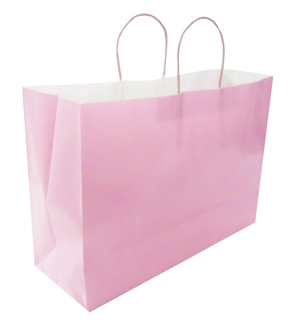 72 Large Pink Gift Bags with Tissues - Bulk Pack of 6 Dozen (72 Count) - Perfect for Birthday Parties, Baby Showers & Wedding Favors