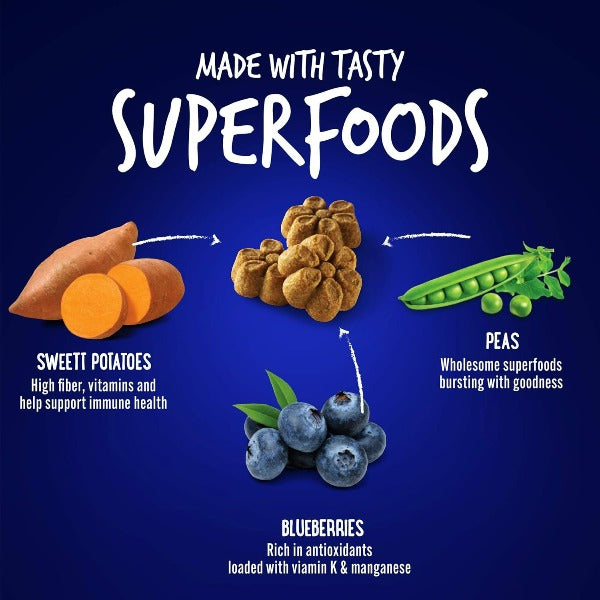 Fruitables Skinny Minis Pumpkin & Berry Flavor Dog Treats - Healthy Low-Calorie Training Snacks for Small Dogs - Perfect for Reward Training & On-the-Go Treats