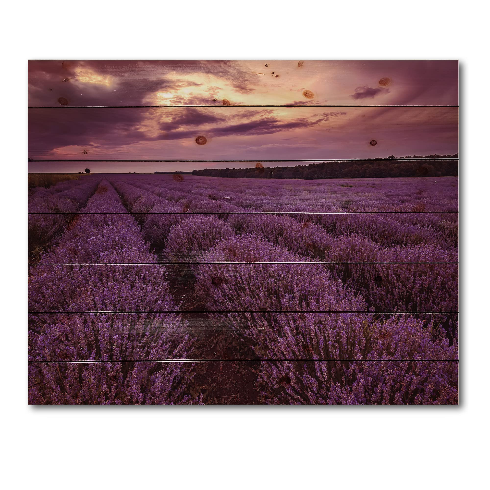 DesignQ Sunrise & Dramatic Clouds Over Lavender Field III - Farmhouse Wall Art Print on Natural Pine Wood - Perfect for Living Room, Bedroom & Office Decor