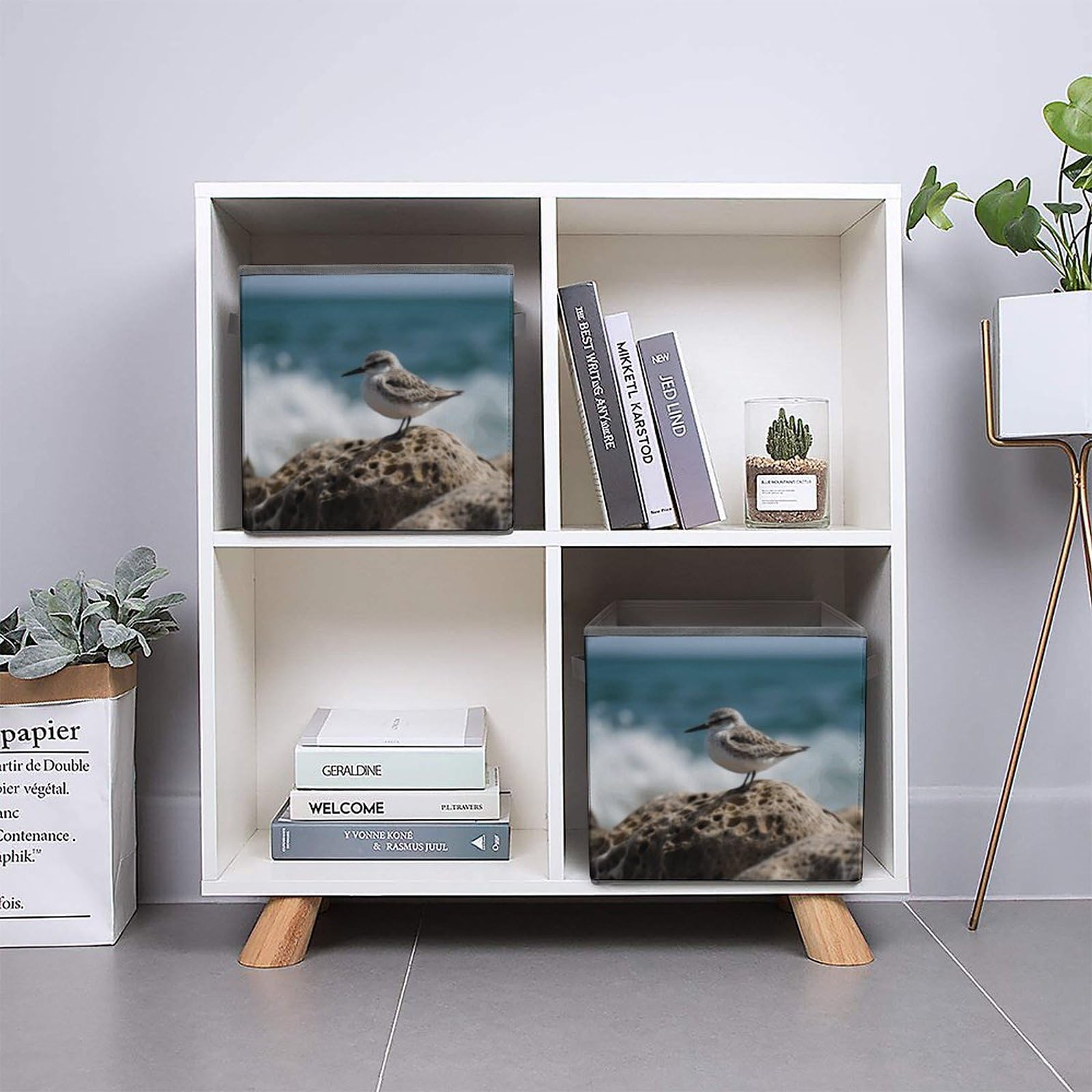 Foldable Storage Cube with Handle - Bird Perching on The Rock Design - Clothes Organizer Bin for Cabinet, Shelf & Closet Organization - Perfect for Bedroom, Nursery & Home Decor Storage Solutions